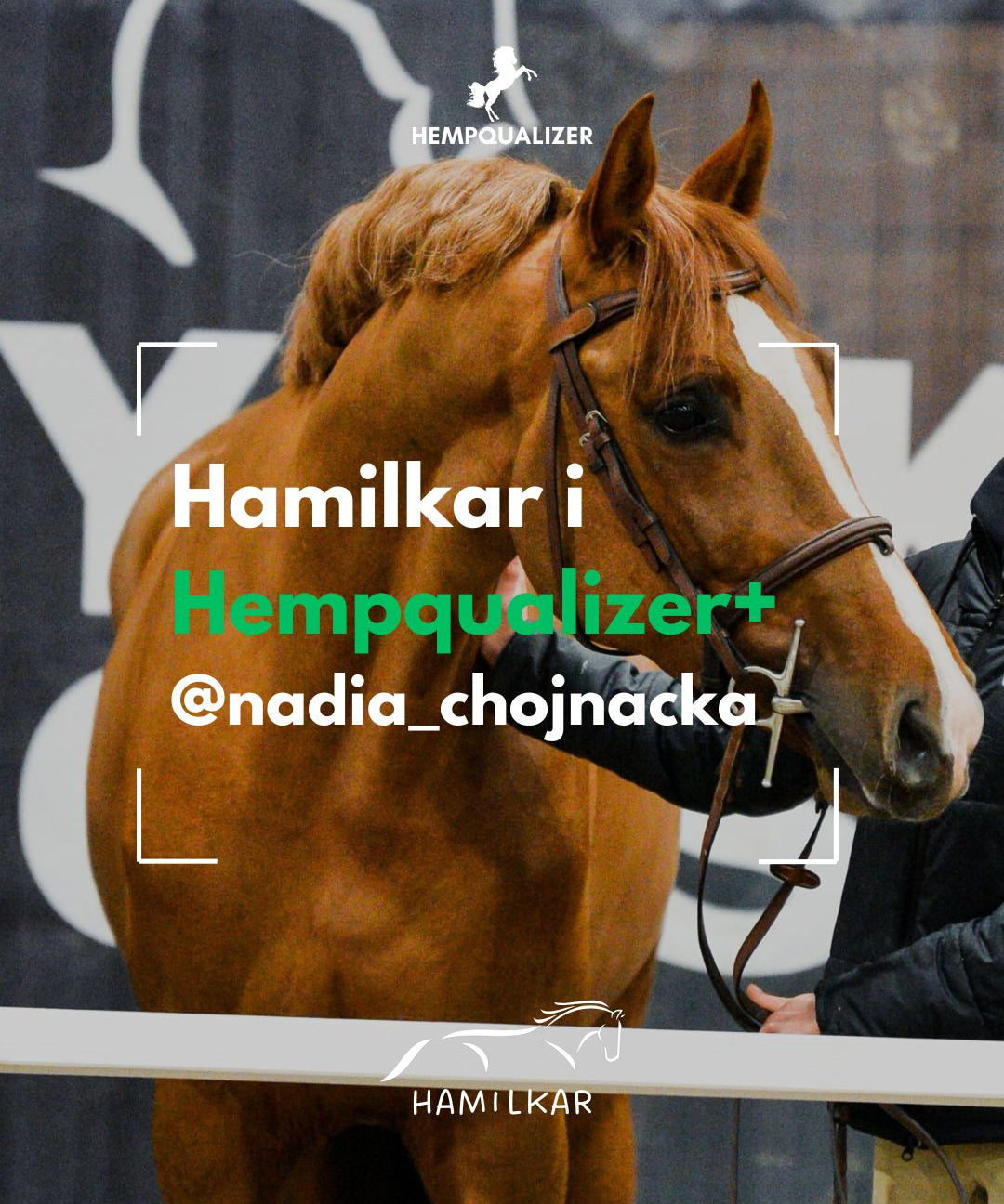 HEMPQUALIZER+ HAMILKAR USPOKOJENIE