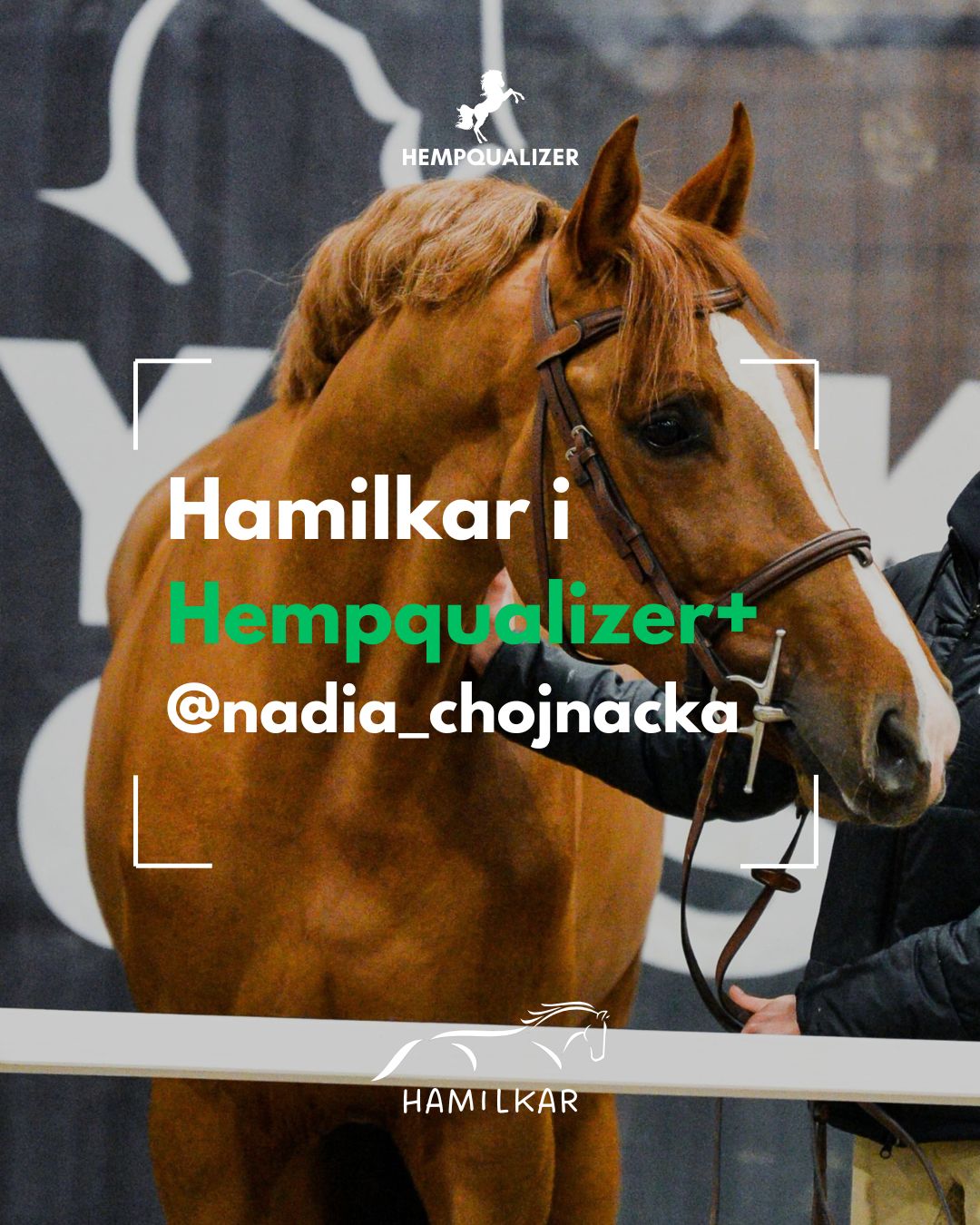 HEMPQUALIZER+ HAMILKAR USPOKOJENIE