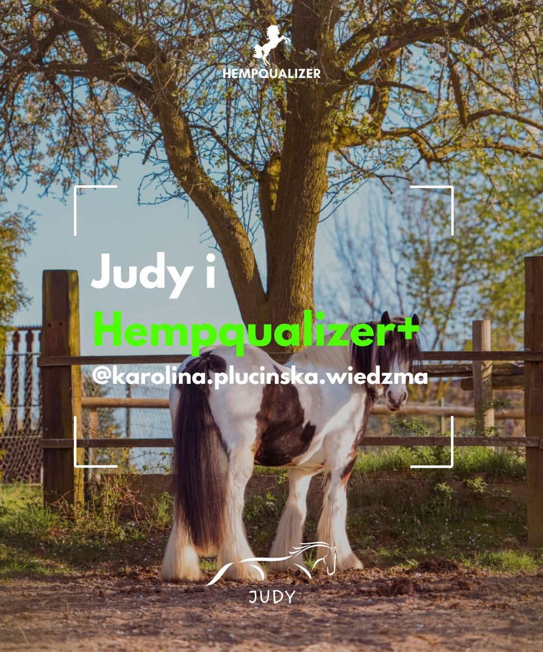 HEMPQUALIZER+ JUDY HEADSHAKING