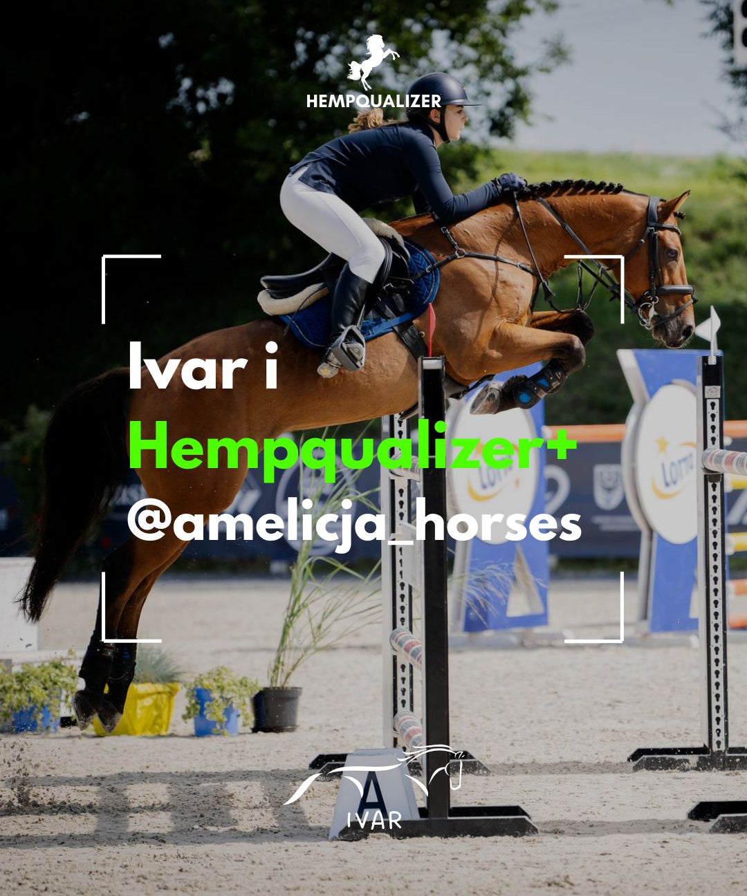 HEMPQUALIZER+ IVAR RAO/WRZODY/STANY ZAPALNE