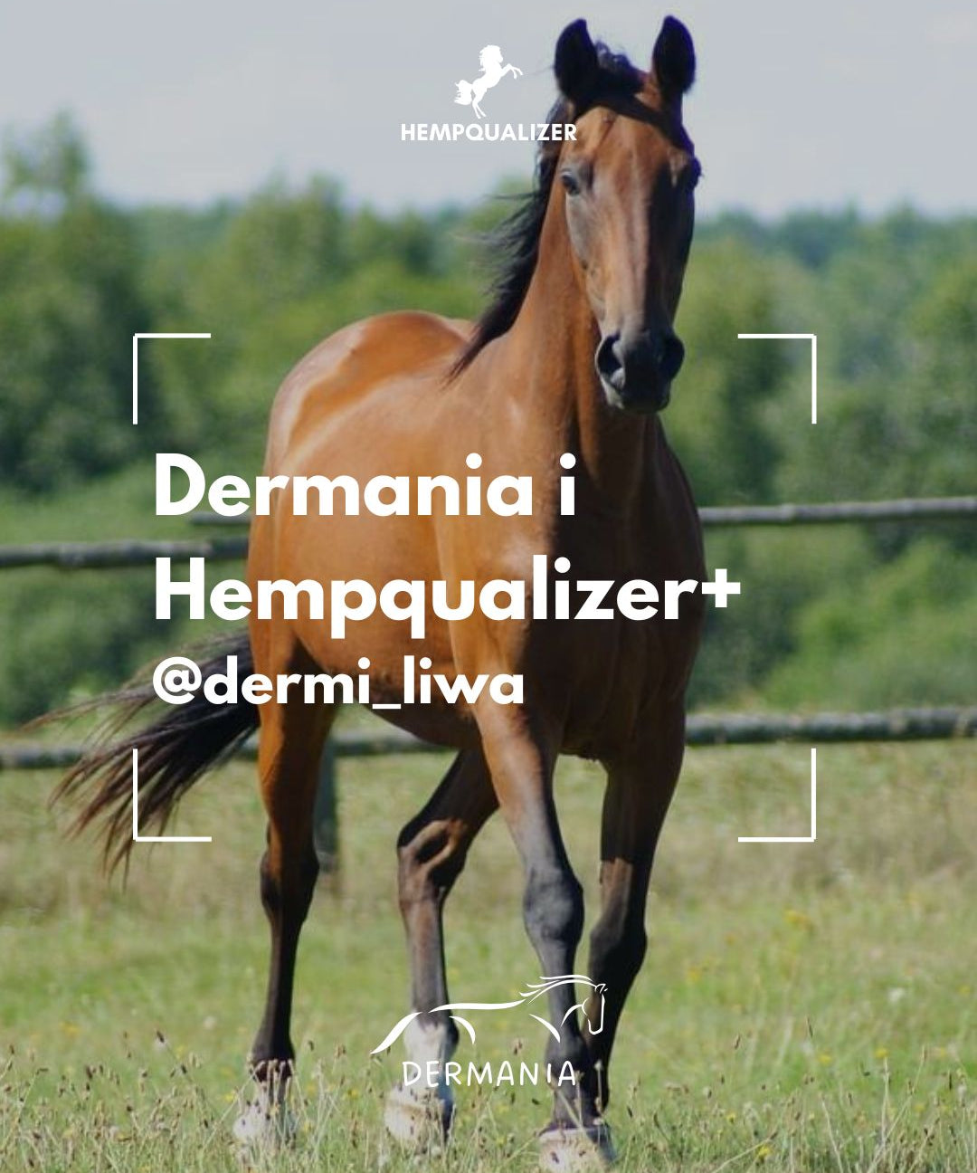 HEMPQUALIZER+ DERMANIA USPOKOJENIE