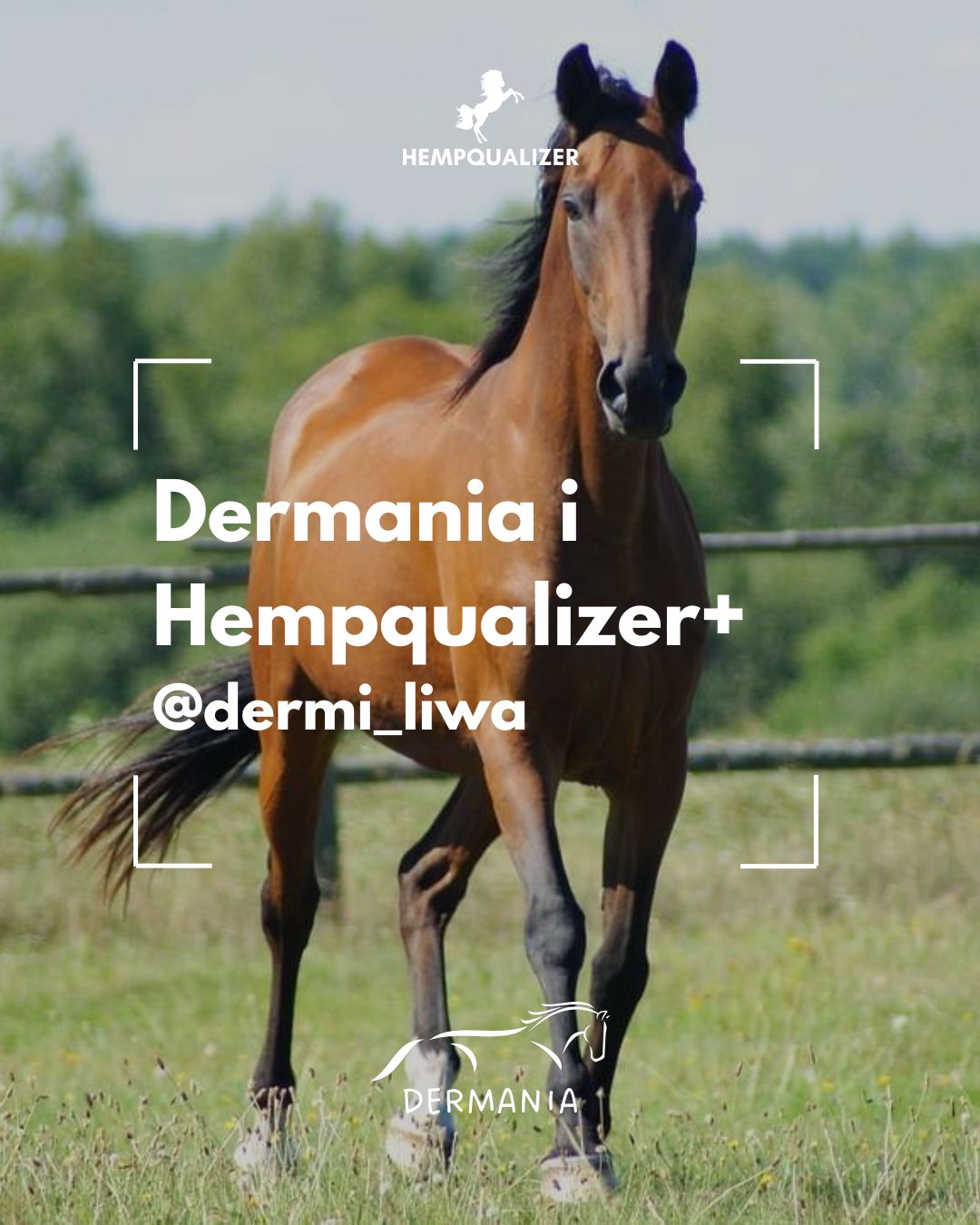HEMPQUALIZER+ DERMANIA USPOKOJENIE