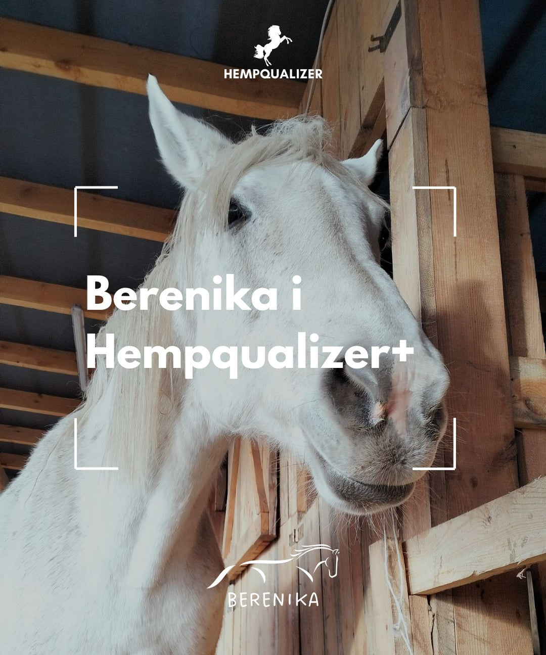 HEMPQUALIZER+ BERENIKA RAO