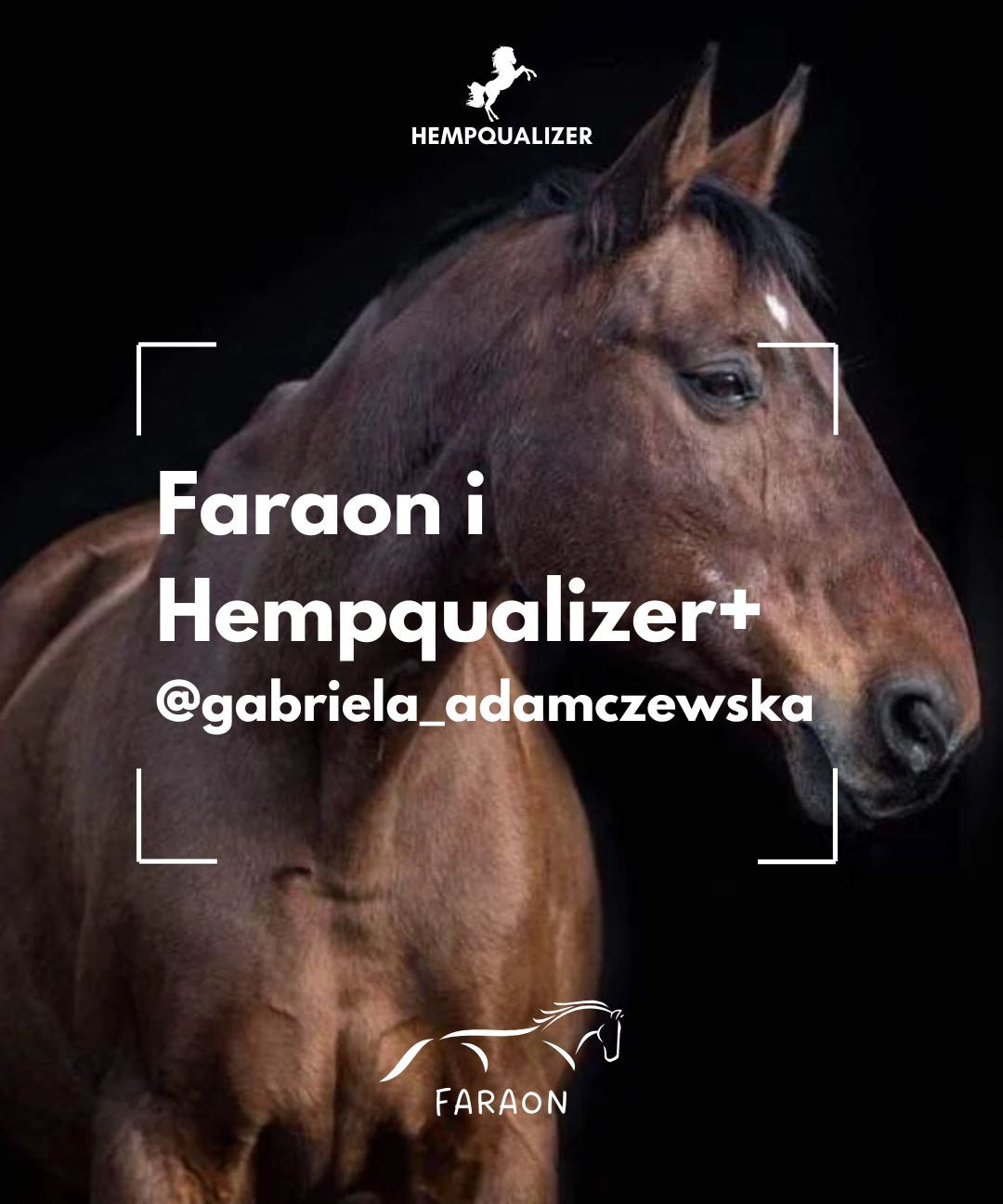 HEMPQUALIZER+ FARAON I RAO