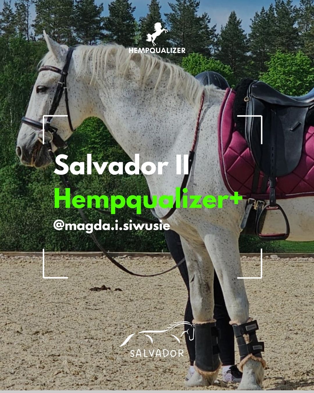 HEMPQUALIZER+ SALVADOR USPOKOJENIE/ZWYRODNIENIA