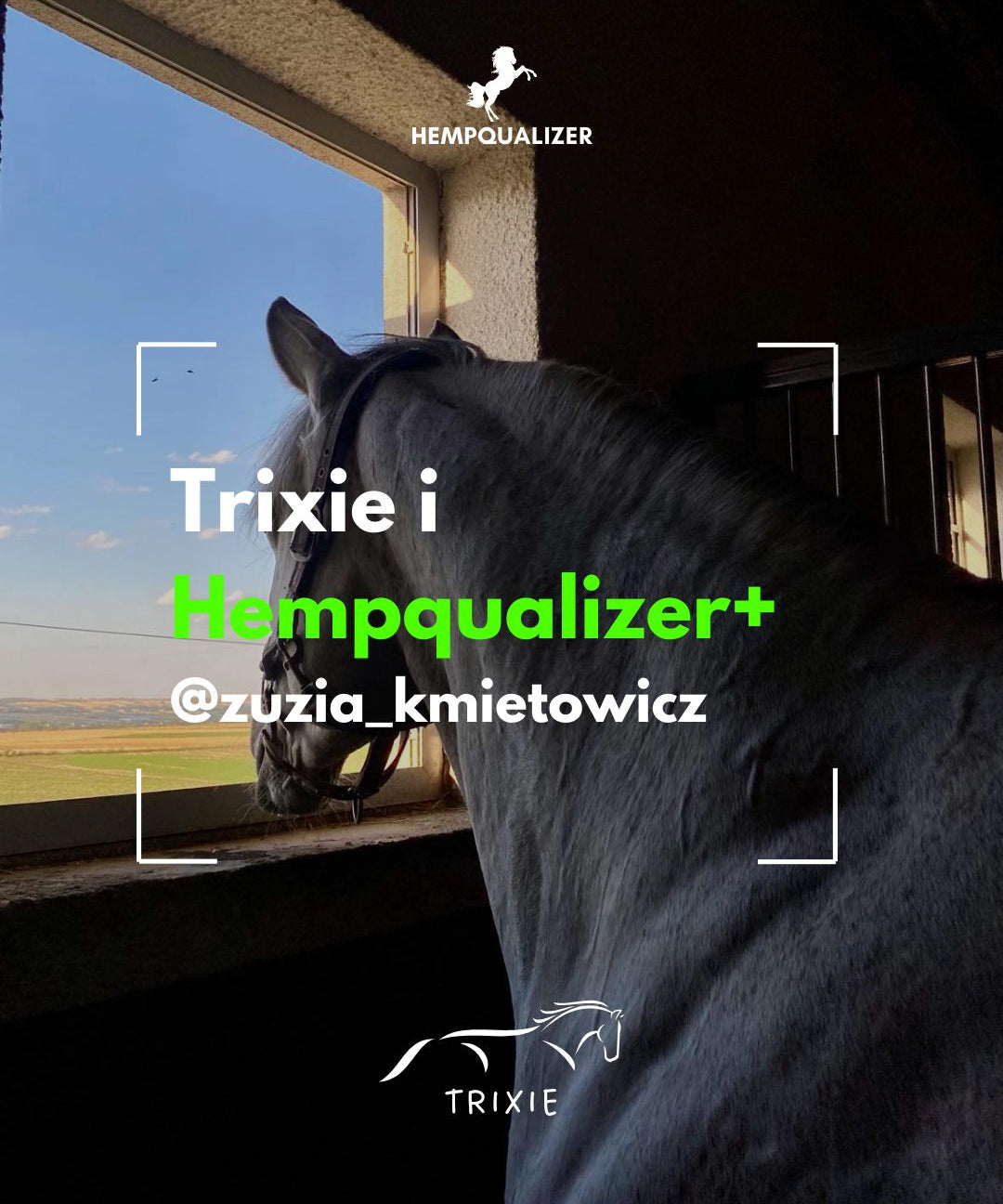 HEMPQUALIZER+ TRIXIE ASTMA