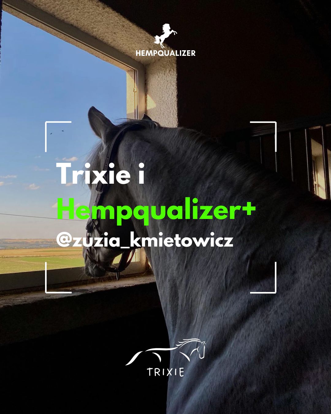 HEMPQUALIZER+ TRIXIE ASTMA