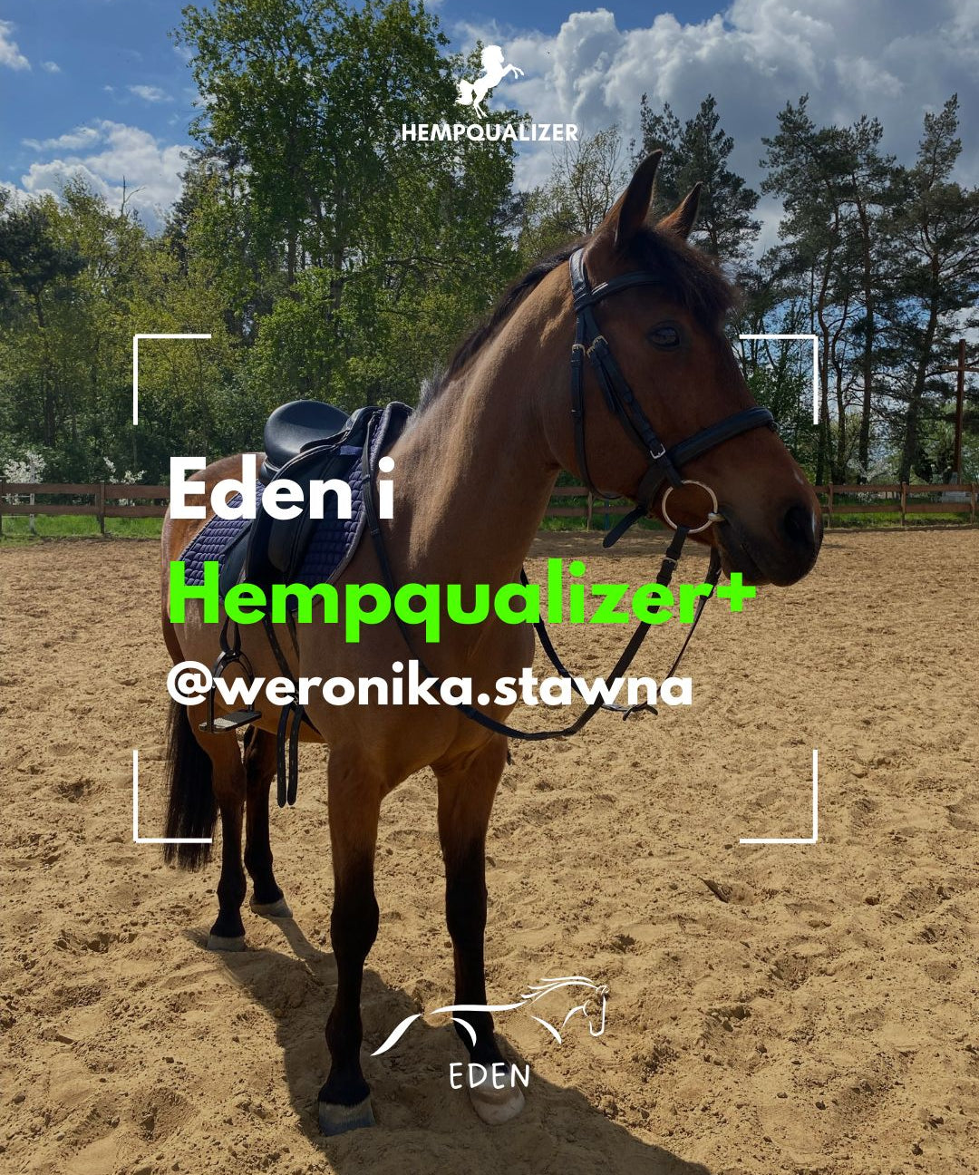 HEMPQUALIZER+ EDEN ASTMA/RAO