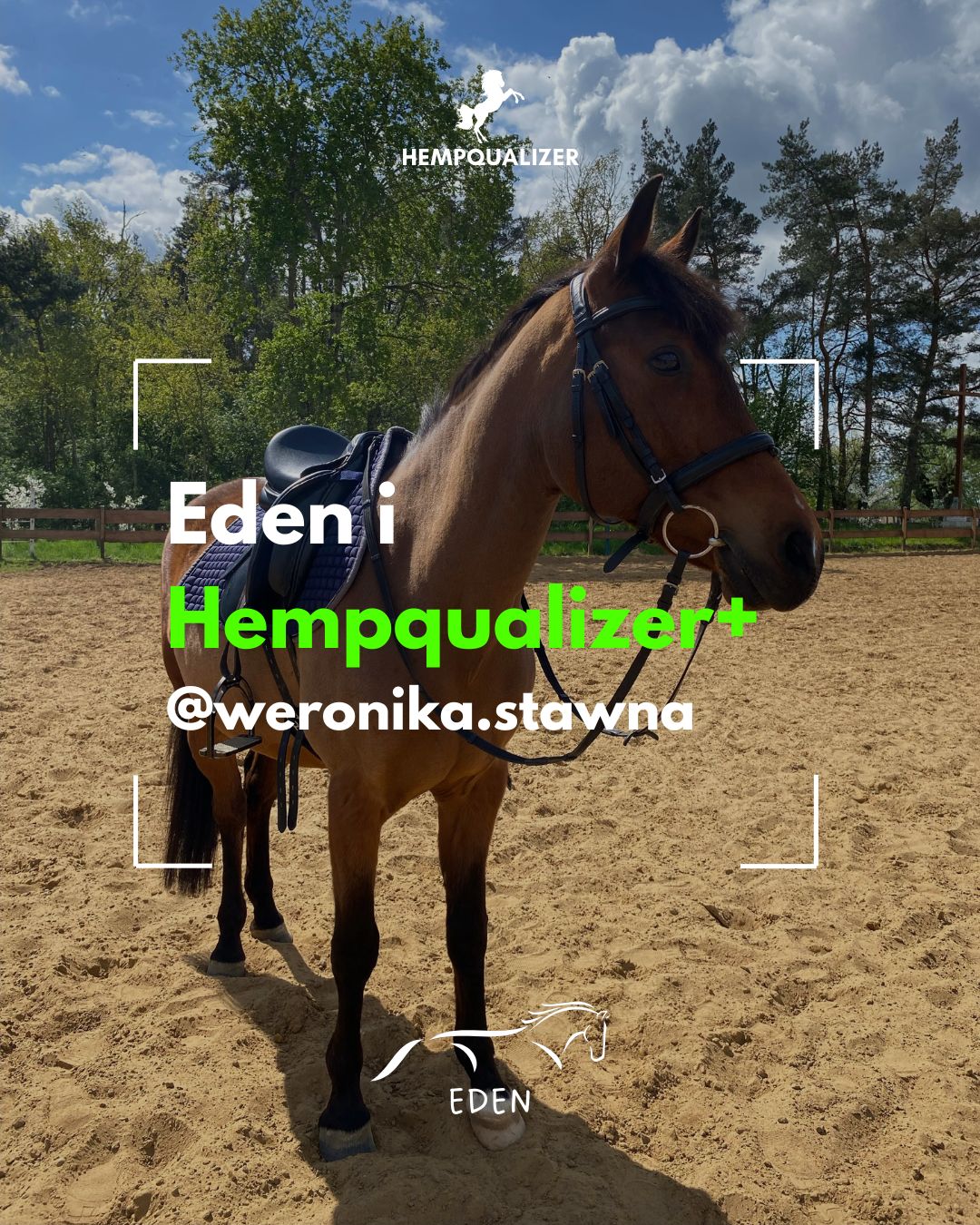 HEMPQUALIZER+ EDEN ASTMA/RAO
