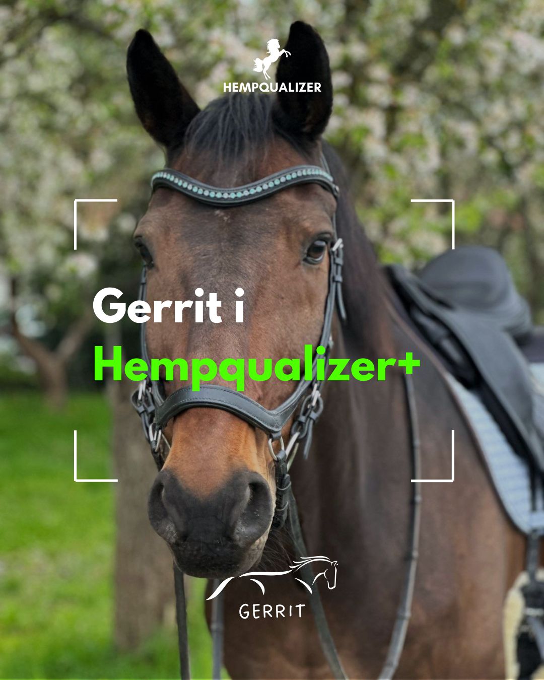 HEMPQUALIZER+ GERRIT ASTMA/STAWY