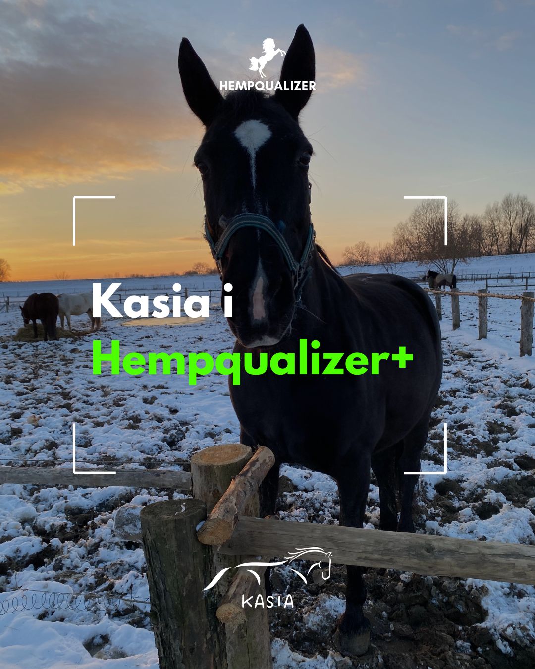 HEMPQUALIZER+ KASIA USPOKOJENIE/WRZODY/ZWYRODNIENIA
