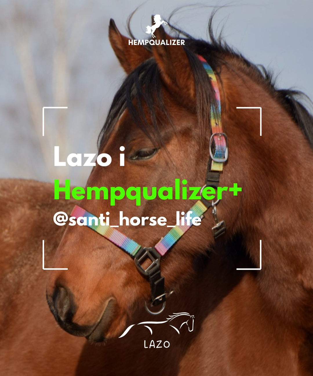 HEMPQUALIZER+ LAZO USPOKOJENIE/STAWY