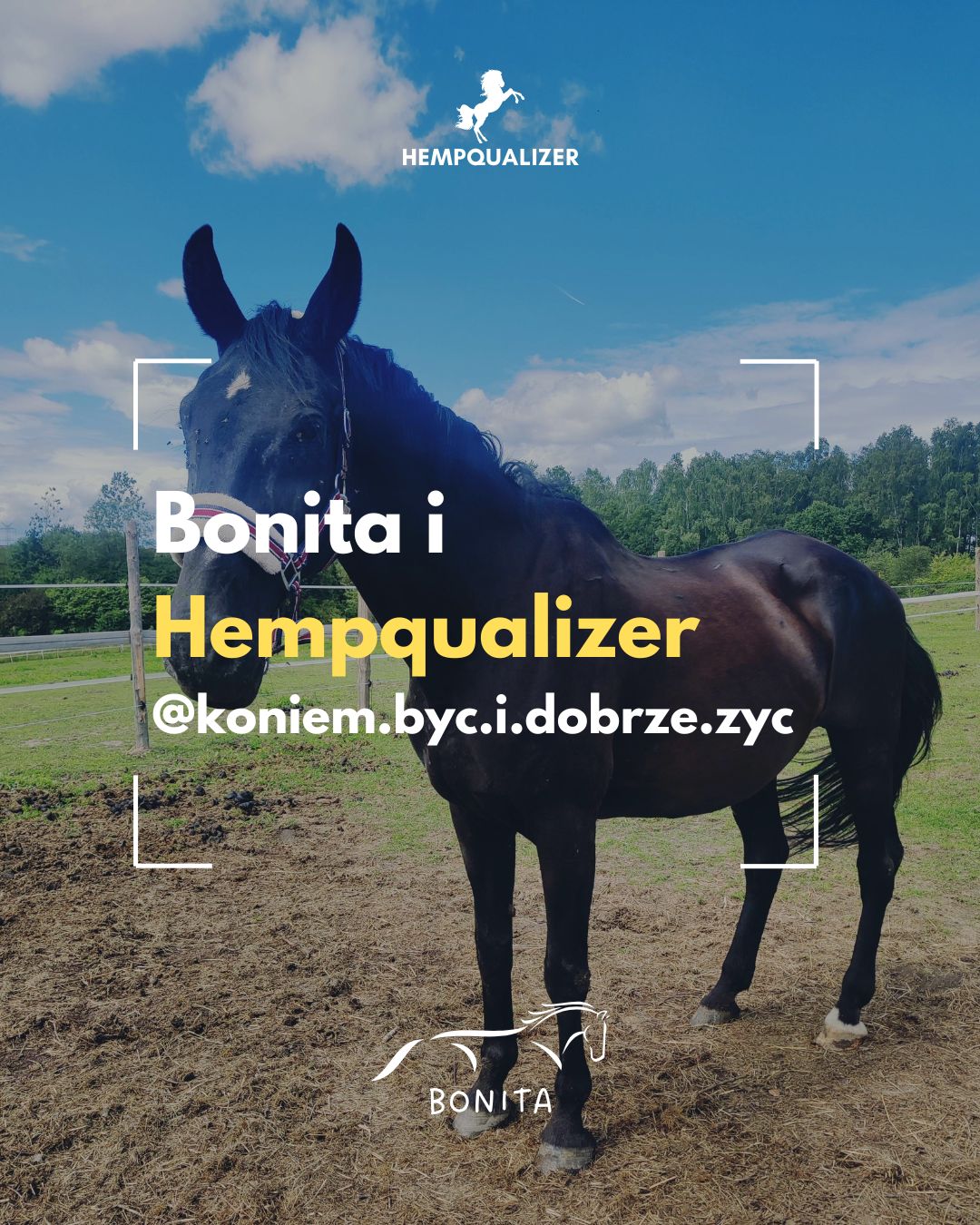 HEMPQUALIZER BONITA USPOKOJENIE