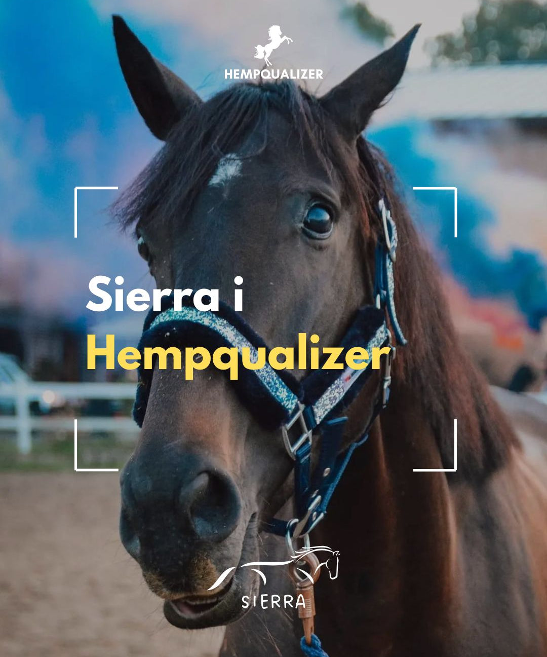HEMPQUALIZER SIERRA USPOKOJENIE