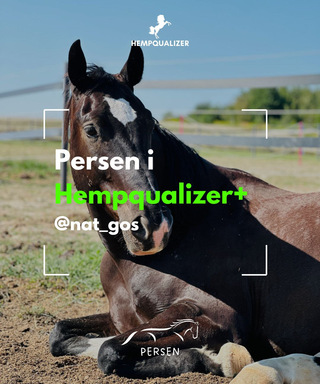 HEMPQUALIZER+ PERSEN USPOKOJENIE/WOBBLER