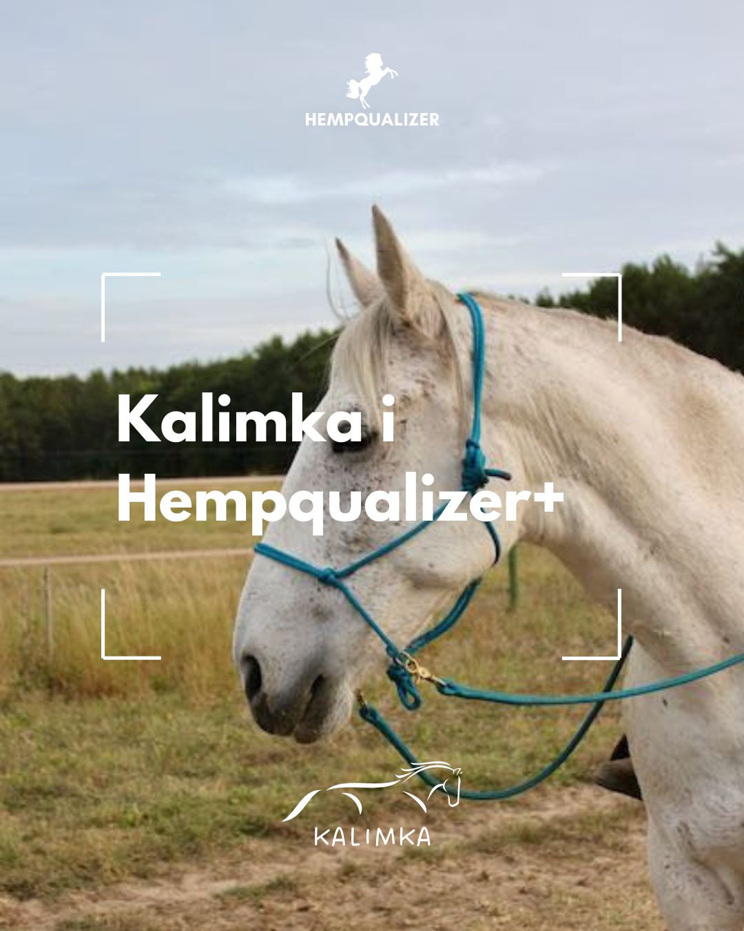 HEMPQUALIZER+ KALIMKA USPOKOJENIE