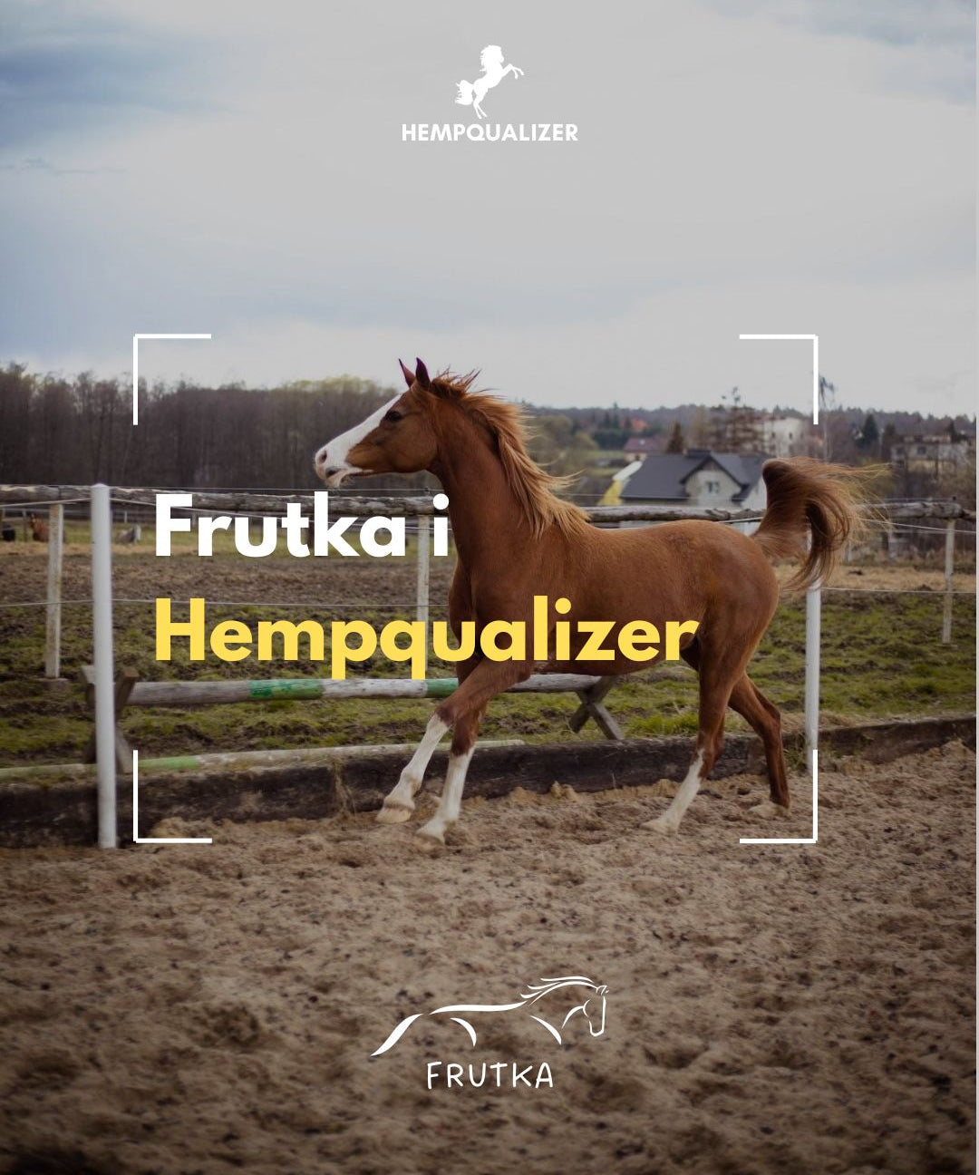HEMPQUALIZER FRUTKA USPOKOJENIE