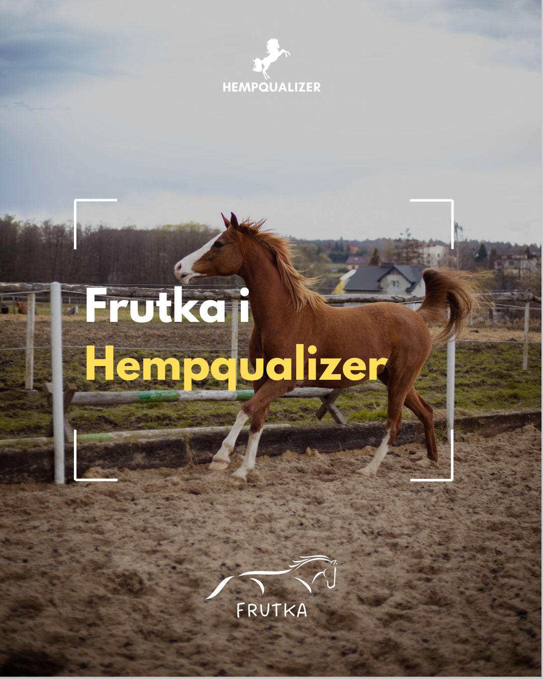 HEMPQUALIZER FRUTKA USPOKOJENIE