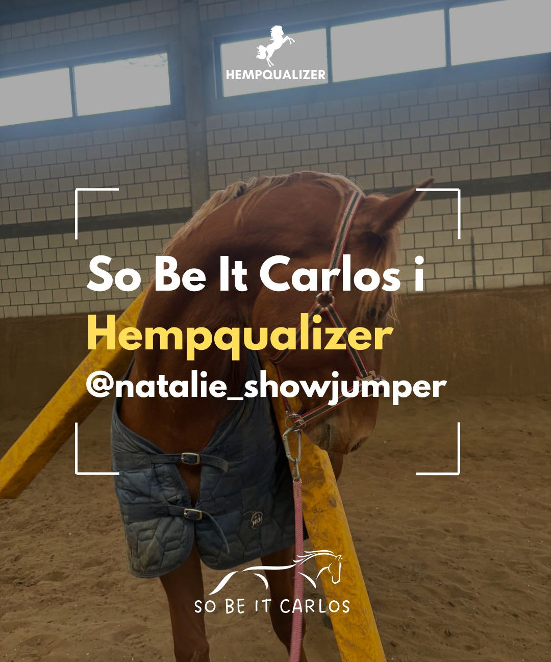 HEMPQUALIZER CARLOS USPOKOJENIE