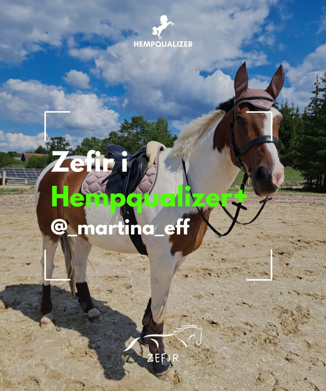 HEMPQUALIZER+ ZEFIR USPOKOJENIE/STAN ZAPALNY