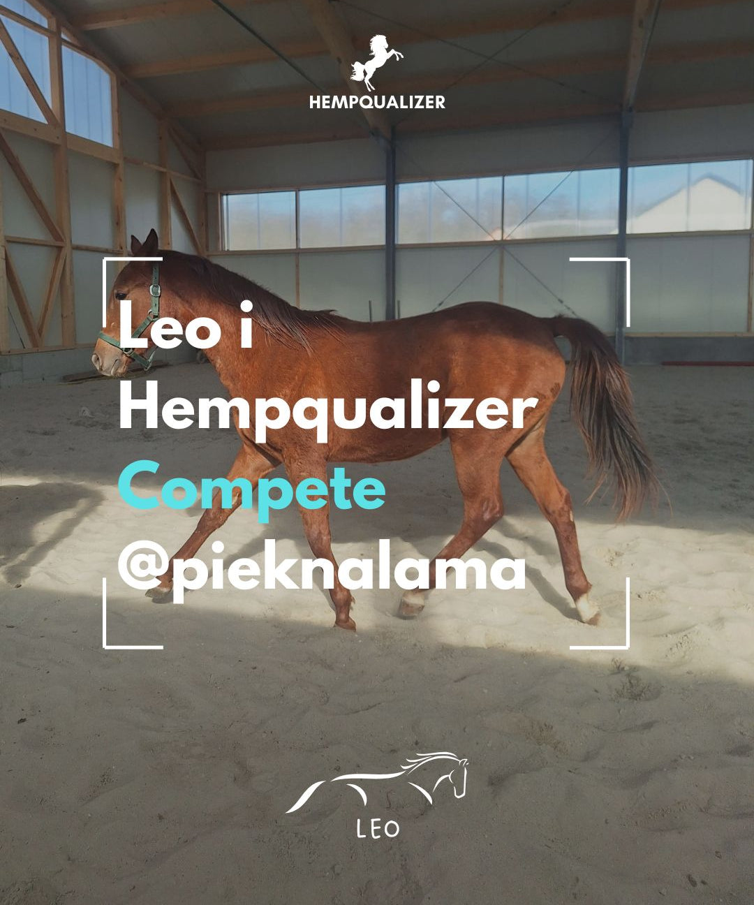 HEMPQUALIZER COMPETE LEO USPOKOJENIE