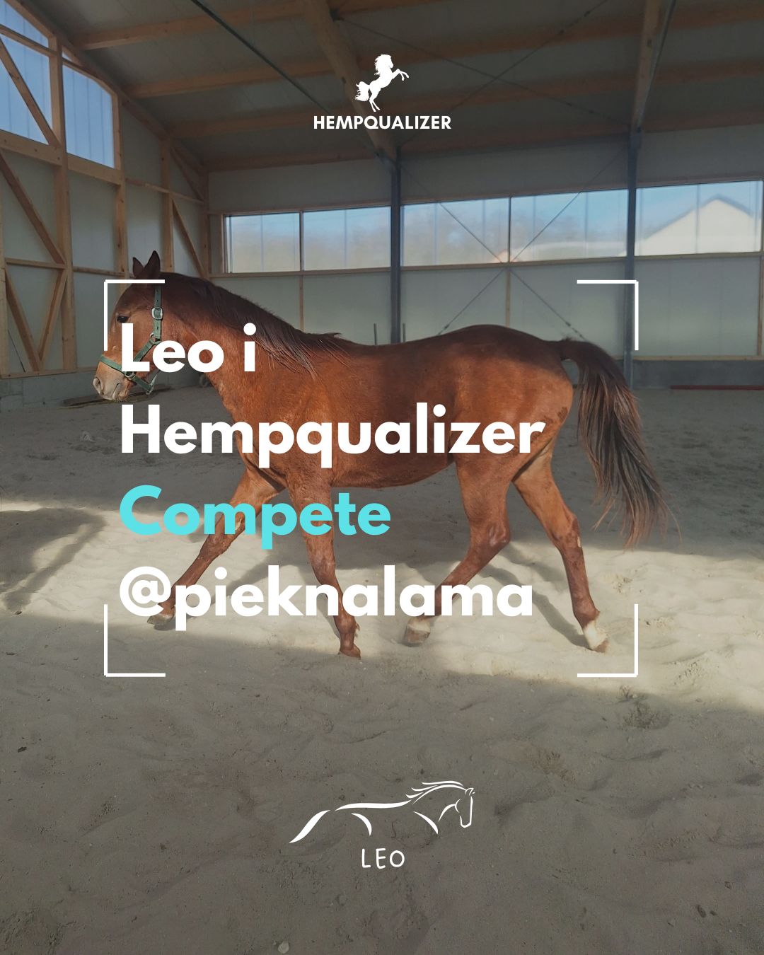 HEMPQUALIZER COMPETE LEO USPOKOJENIE