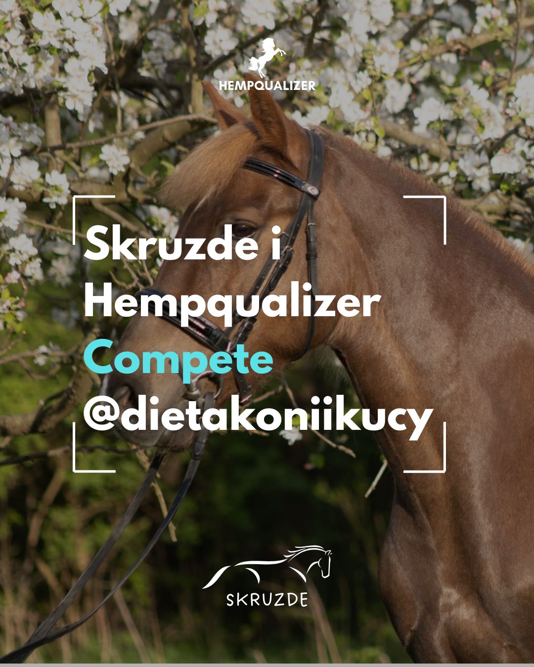 HEMPQUALIZER COMPETE SKRUZDE USPOKOJENIE