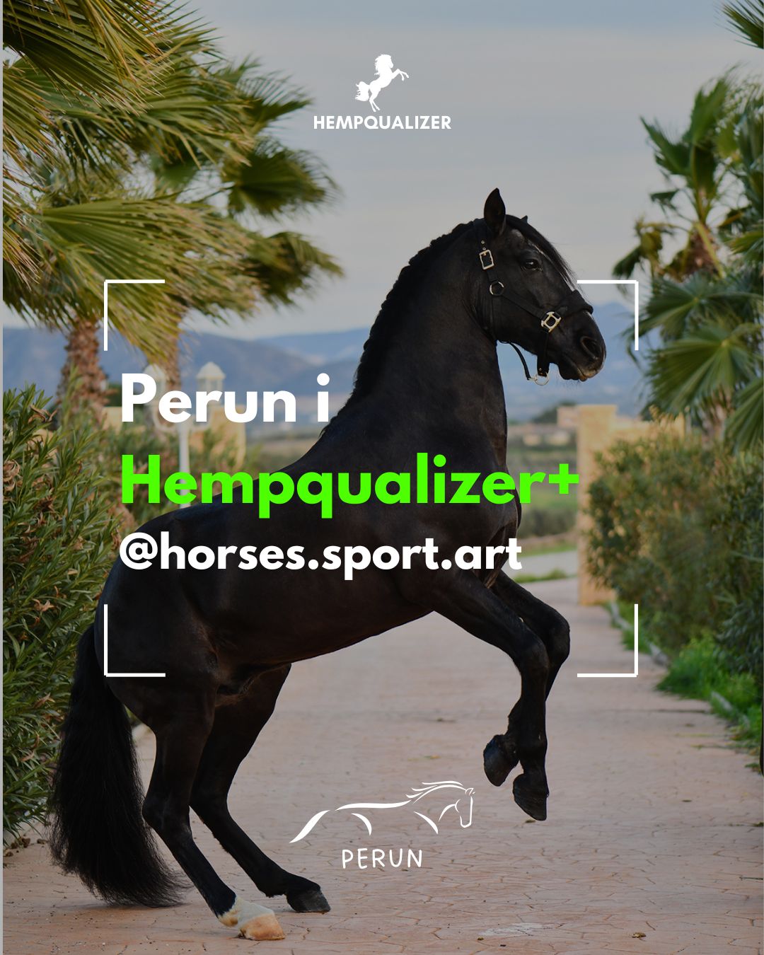 HEMPQUALIZER+ PERUN USPOKOJENIE/SZTYWNOŚĆ