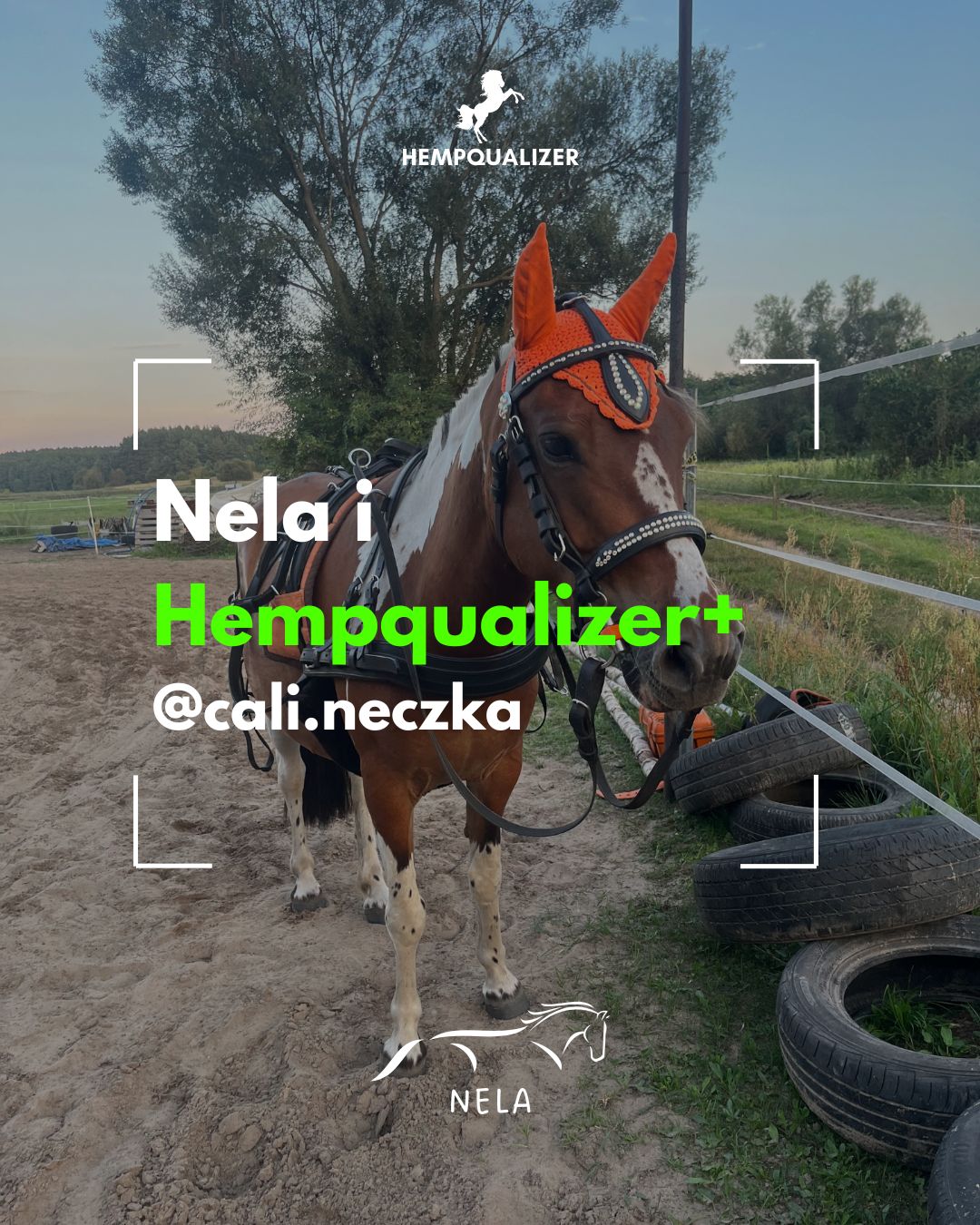 HEMPQUALIZER+ NELA USPOKOJENIE