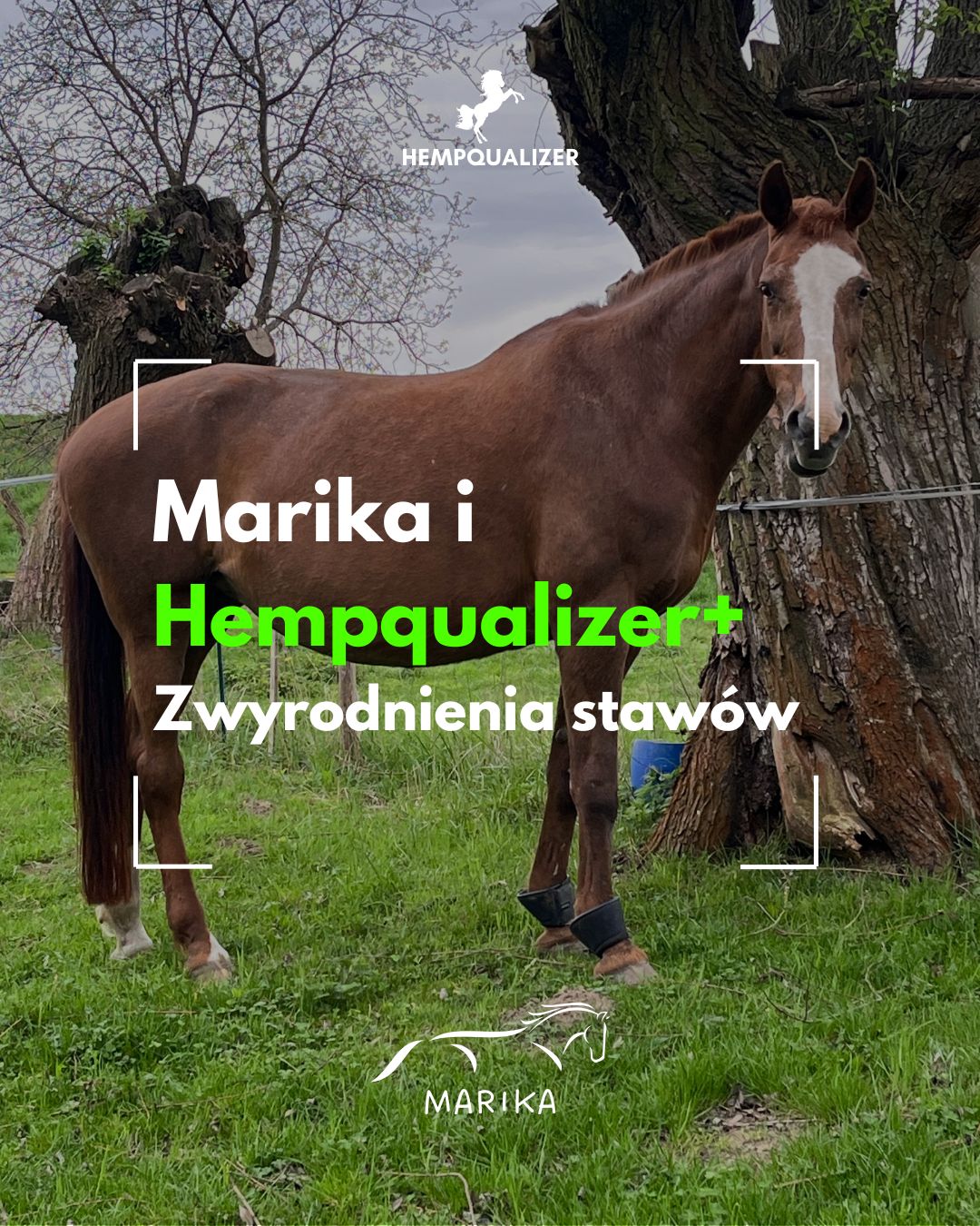 HEMPQUALIZER+ MARIKA ZWYRODNIENIA STAWÓW