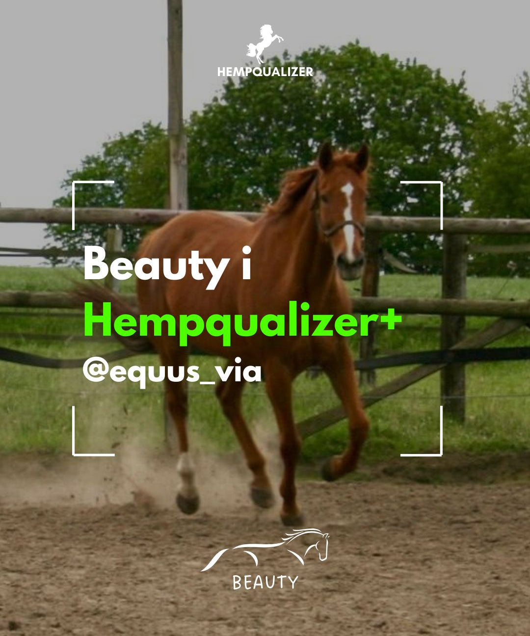 HEMPQUALIZER+ BEAUTY USPOKOJENIE