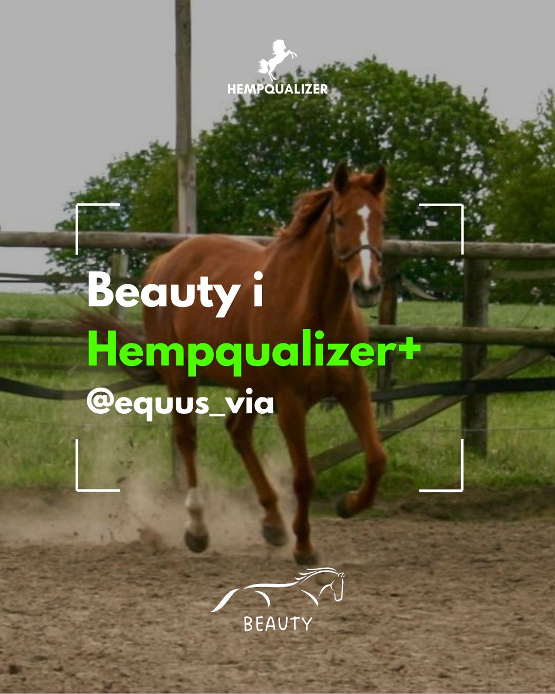 HEMPQUALIZER+ BEAUTY USPOKOJENIE