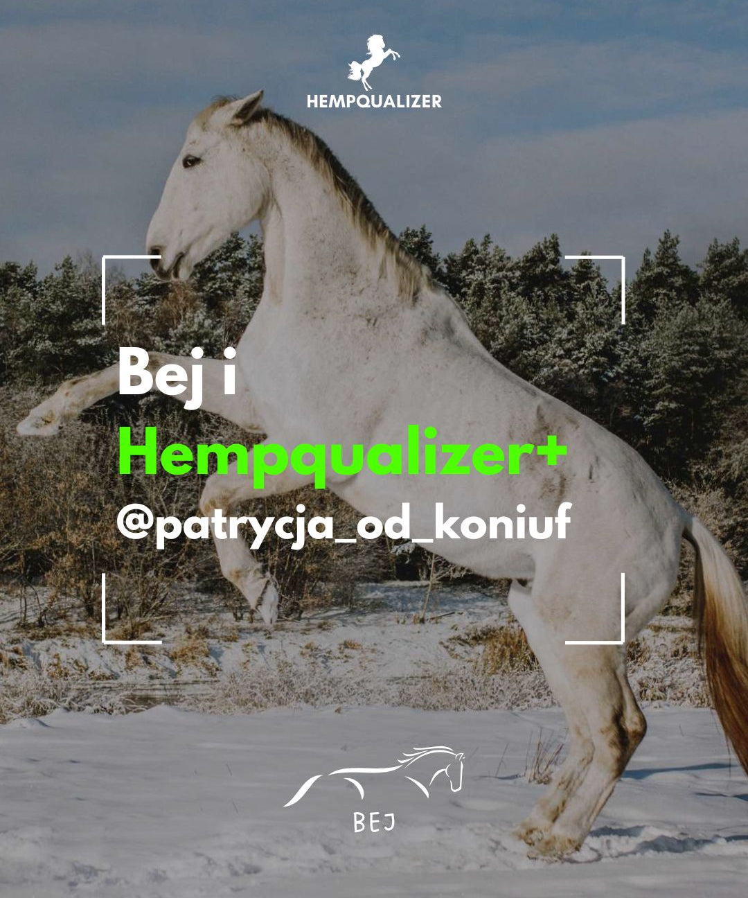 HEMPQUALIZER+ BEJ RAO