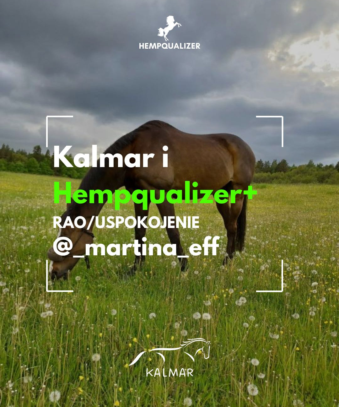 HEMPQUALIZER+ KALMAR RAO/USPOKOJENIE