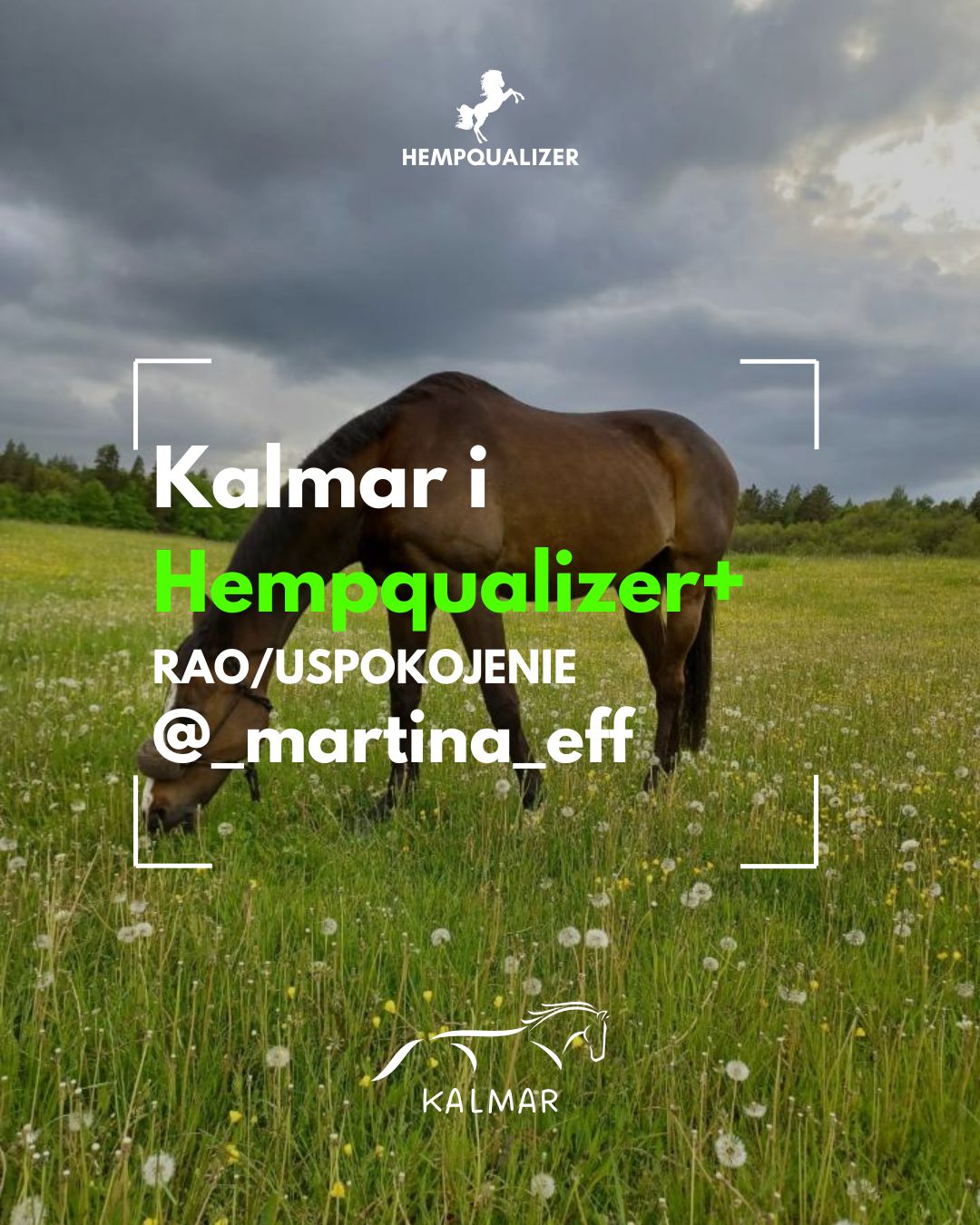 HEMPQUALIZER+ KALMAR RAO/USPOKOJENIE