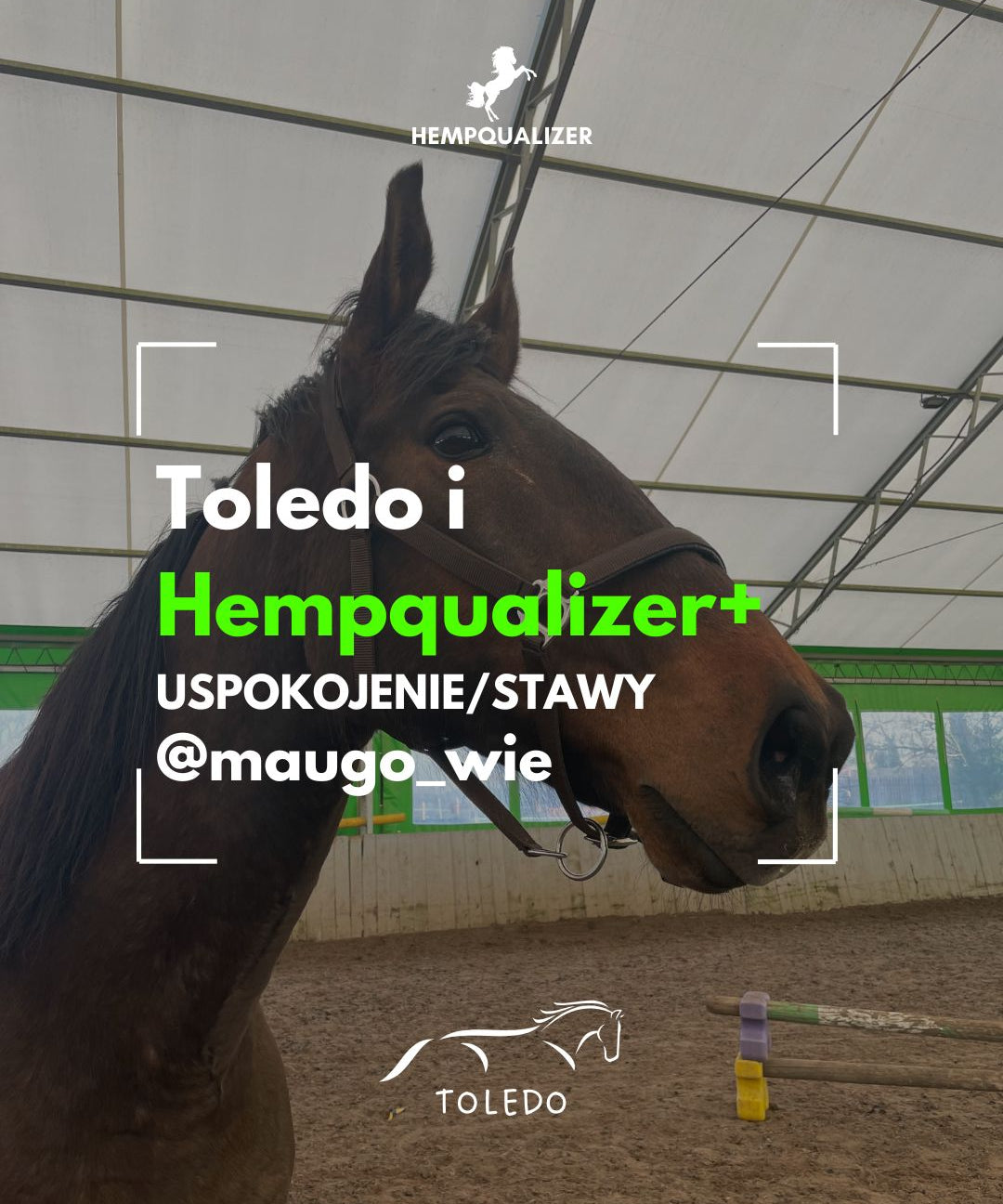HEMPQUALIZER+ TOLEDO USPOKOJENIE/STAWY