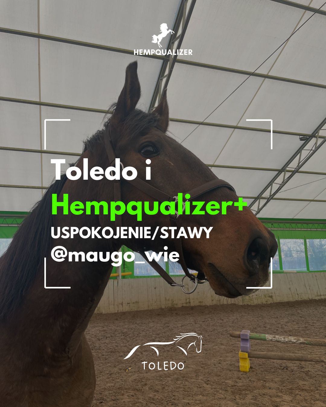HEMPQUALIZER+ TOLEDO USPOKOJENIE/STAWY