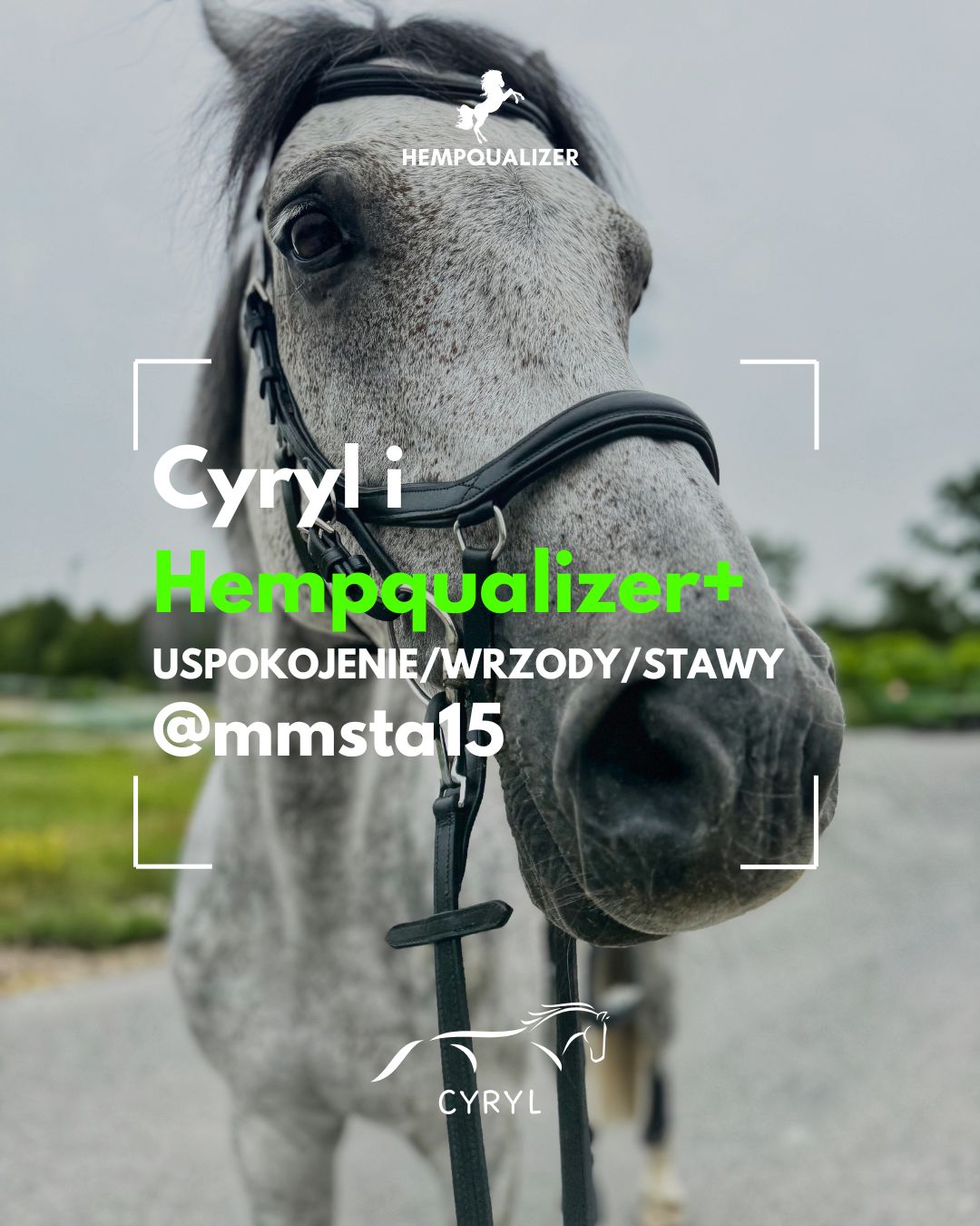 HEMPQUALIZER+ CYRYL USPOKOJENIE/WRZODY/STAWY