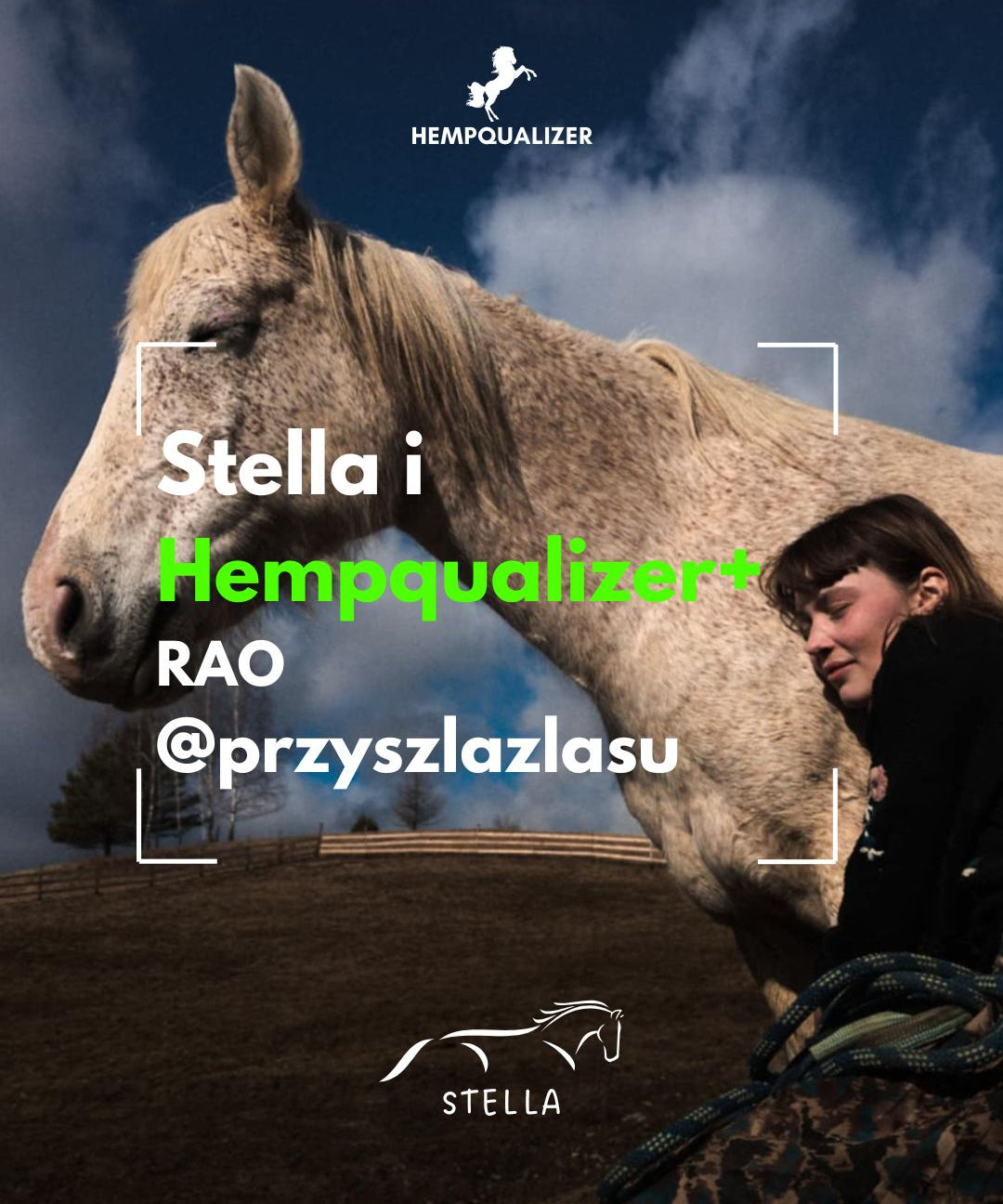 HEMPQUALIZER+ STELLA RAO