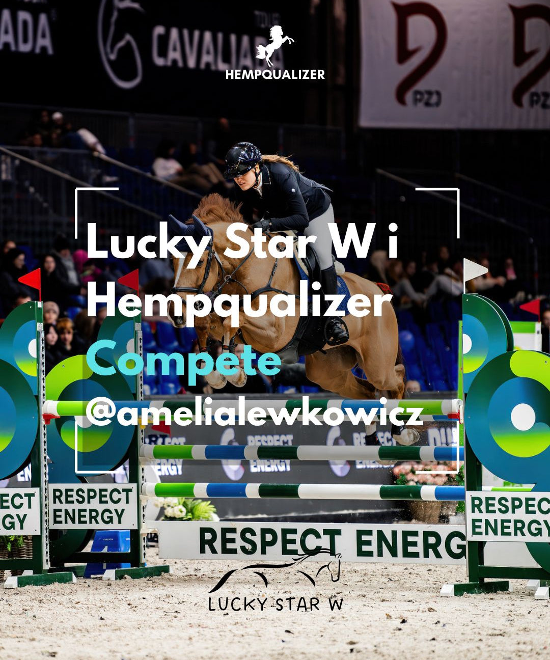 HEMPQUALIZER COMPETE LUCKY STAR W USPOKOJENIE