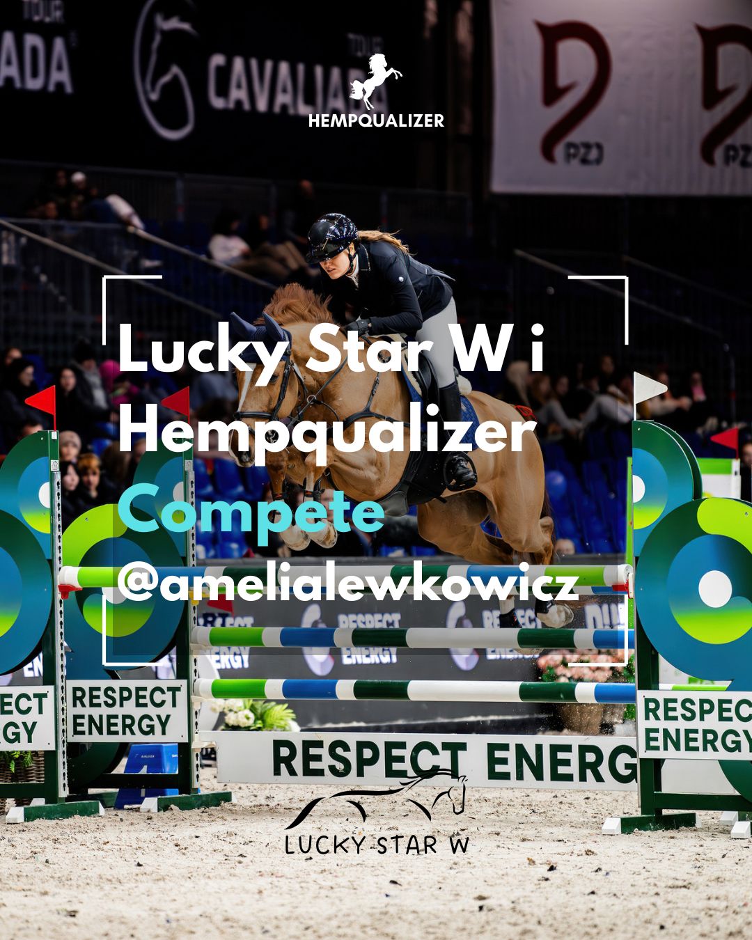 HEMPQUALIZER COMPETE LUCKY STAR W USPOKOJENIE