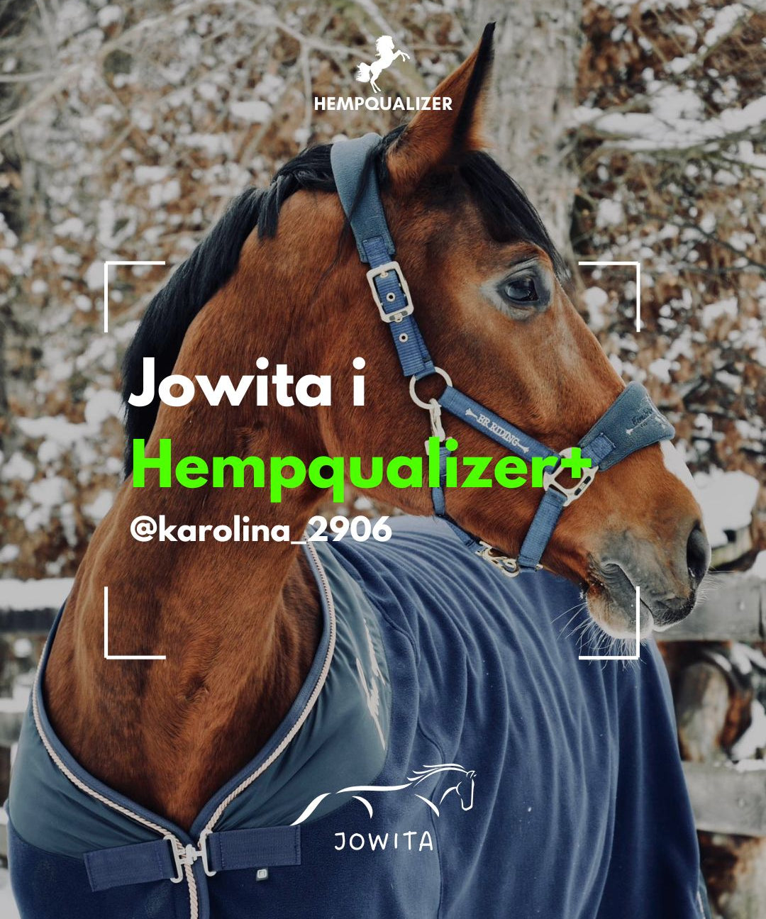 HEMPQUALIZER+ JOWITA ASTMA