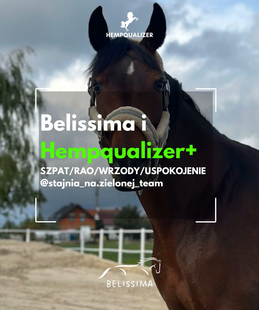 HEMPQUALIZER+ BELISSIMA SZPAT/RAO/WRZODY/USPOKOJENIE
