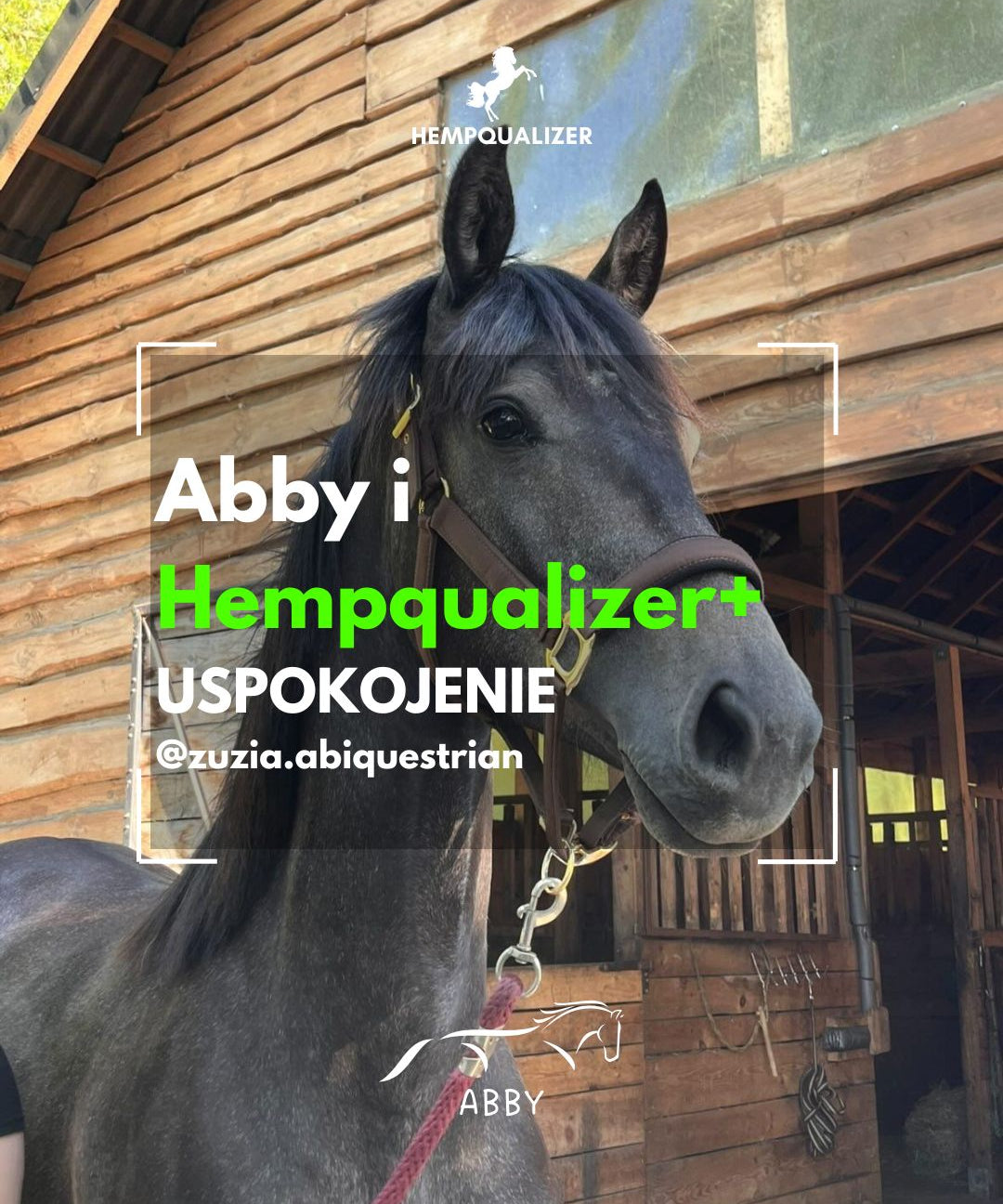 HEMPQUALIZER+ ABBY USPOKOJENIE
