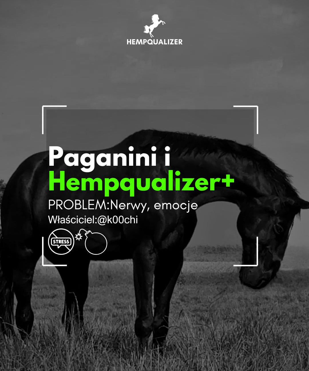HEMPQUALIZER+ PAGANINI USPOKOJENIE