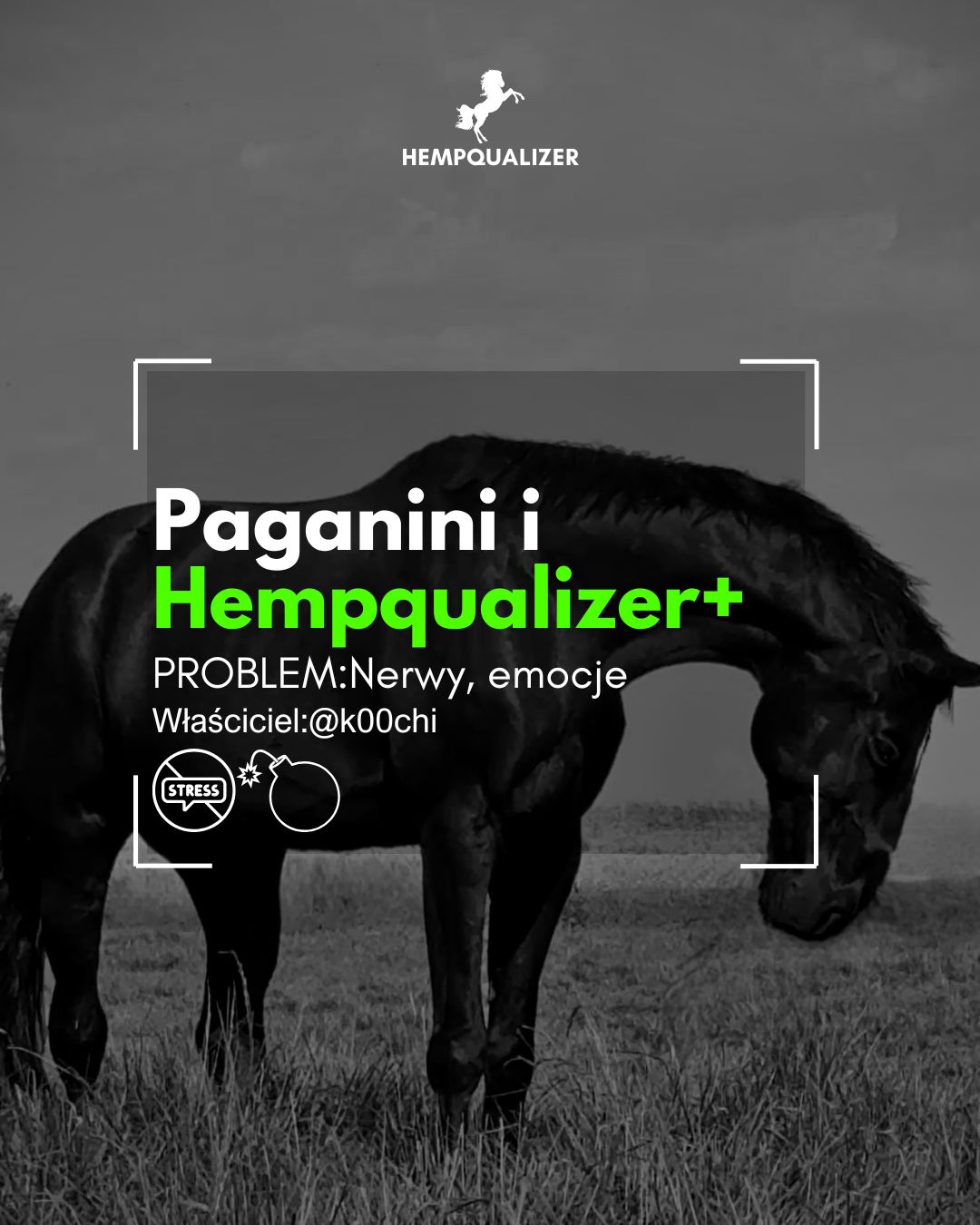 HEMPQUALIZER+ PAGANINI USPOKOJENIE