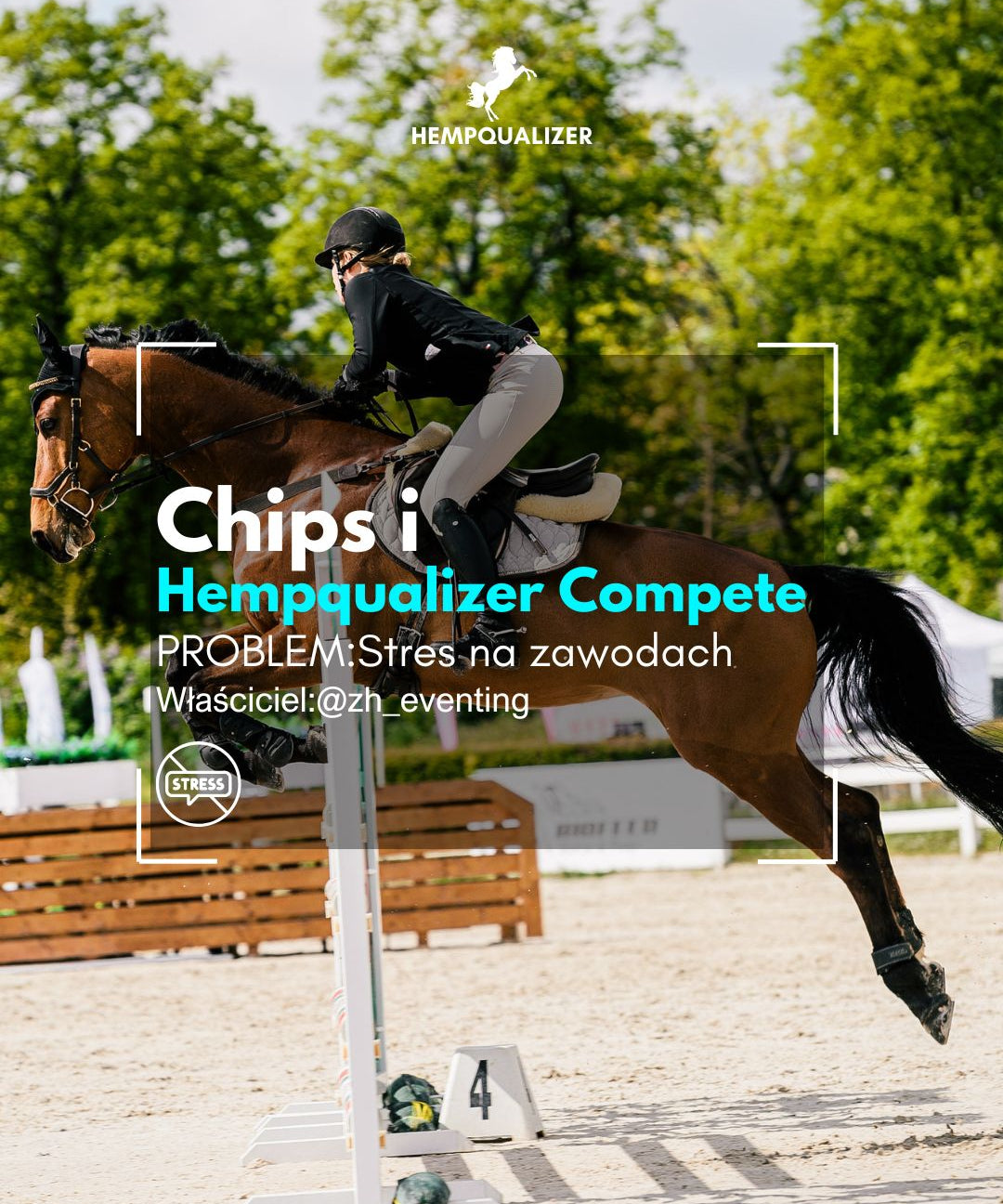 HEMPQUALIZER COMPETE CHIPS USPOKOJENIE
