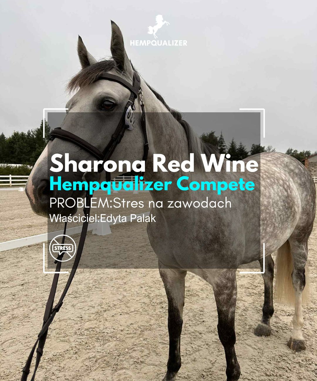 SHARONA HEMPQUALIZER COMPETE STRES NA ROZPRĘŻALNI