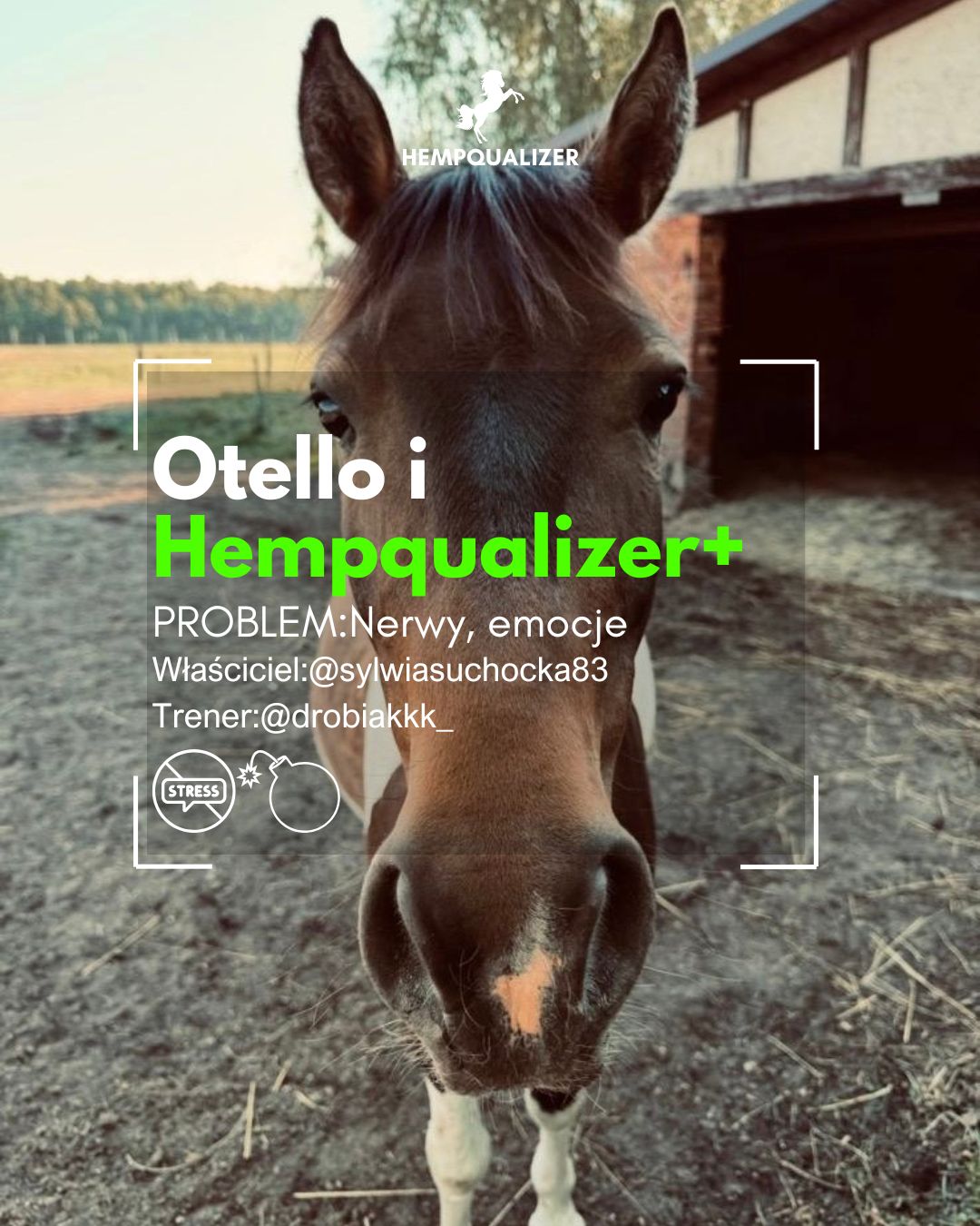 HEMPQUALIZER+ OTELLO USPOKOJENIE