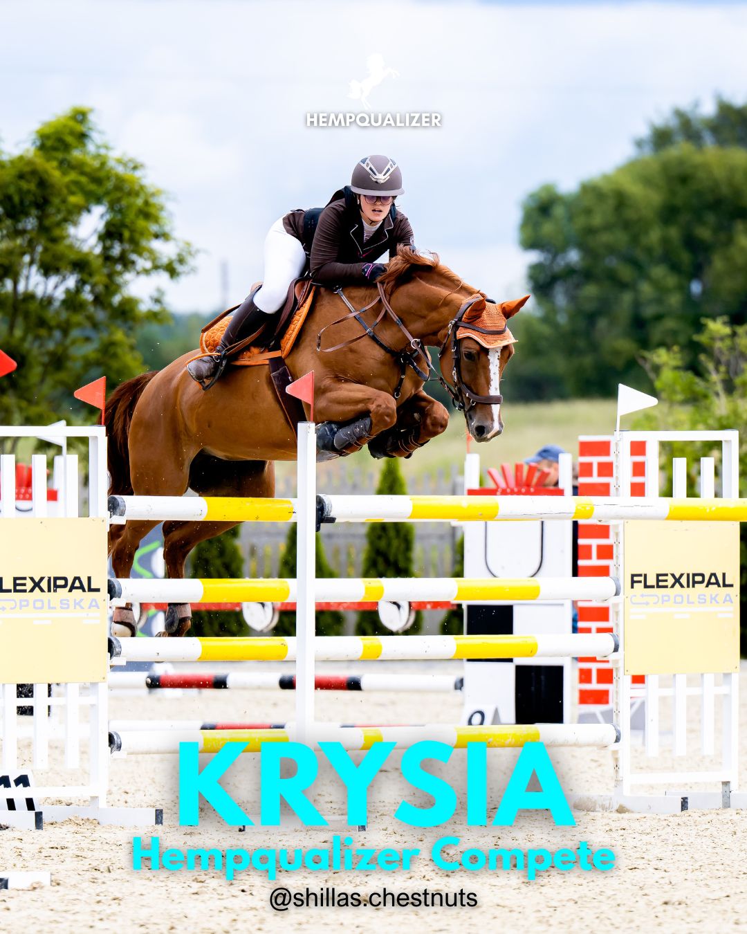 HEMPQUALIZER COMPETE K3 VAN DE ZEILHOEK USPOKOJENIE NA ZAWODACH